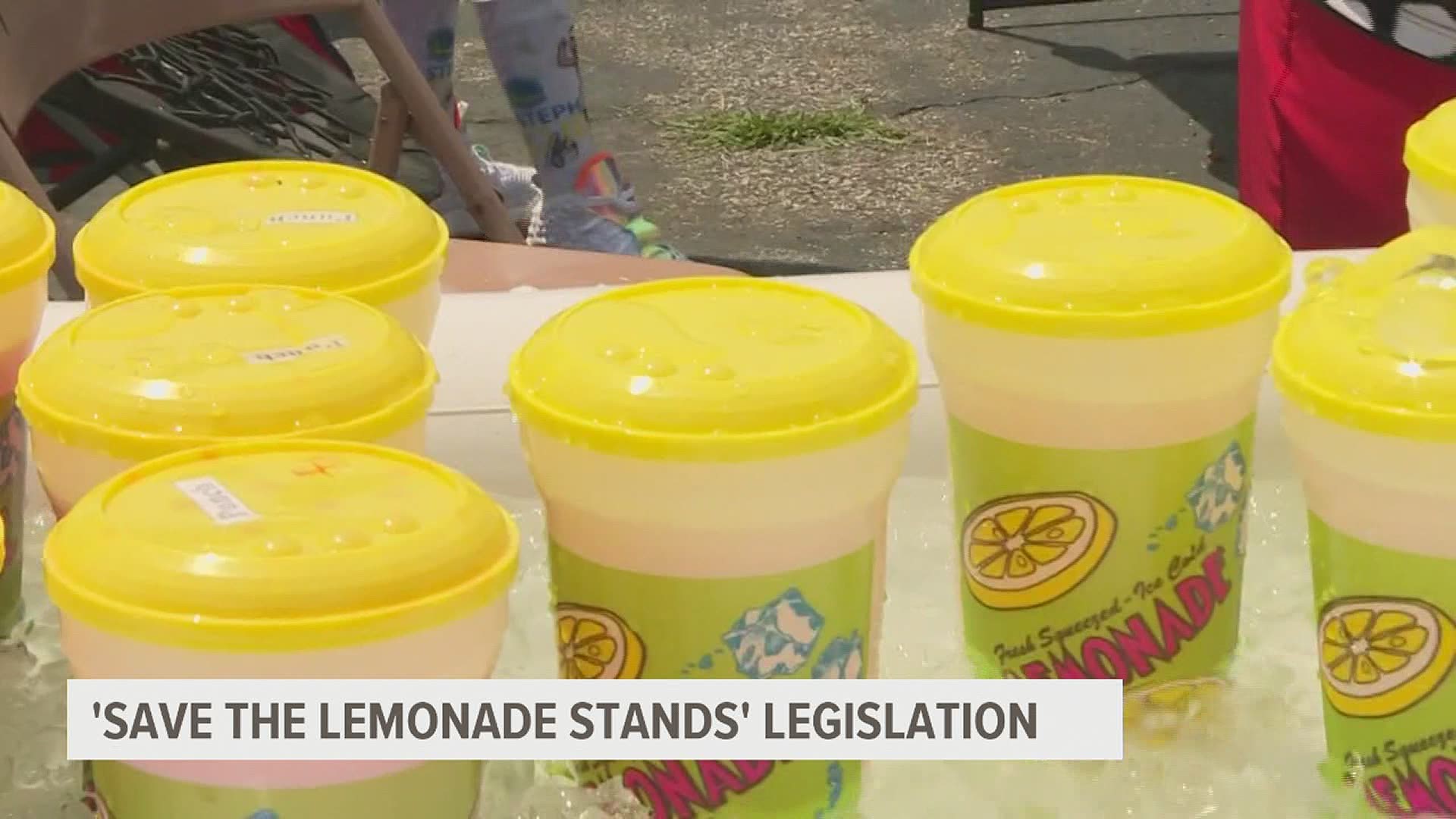 The legislation would exempt some child-run businesses from municipal regulation and licensing.
