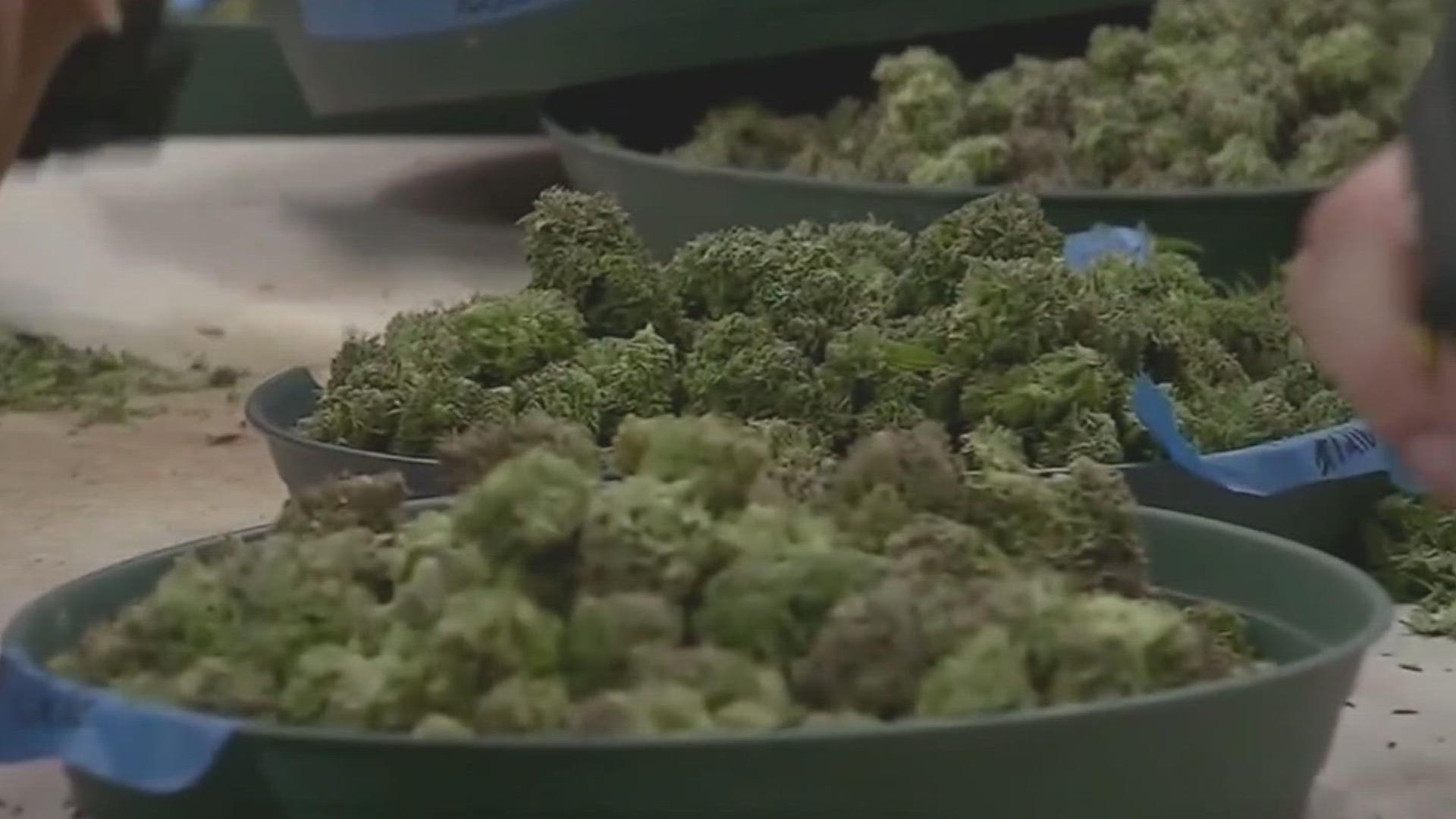 fox43.com - Natalie Koranda - Pa. hearing reviews hemp industry