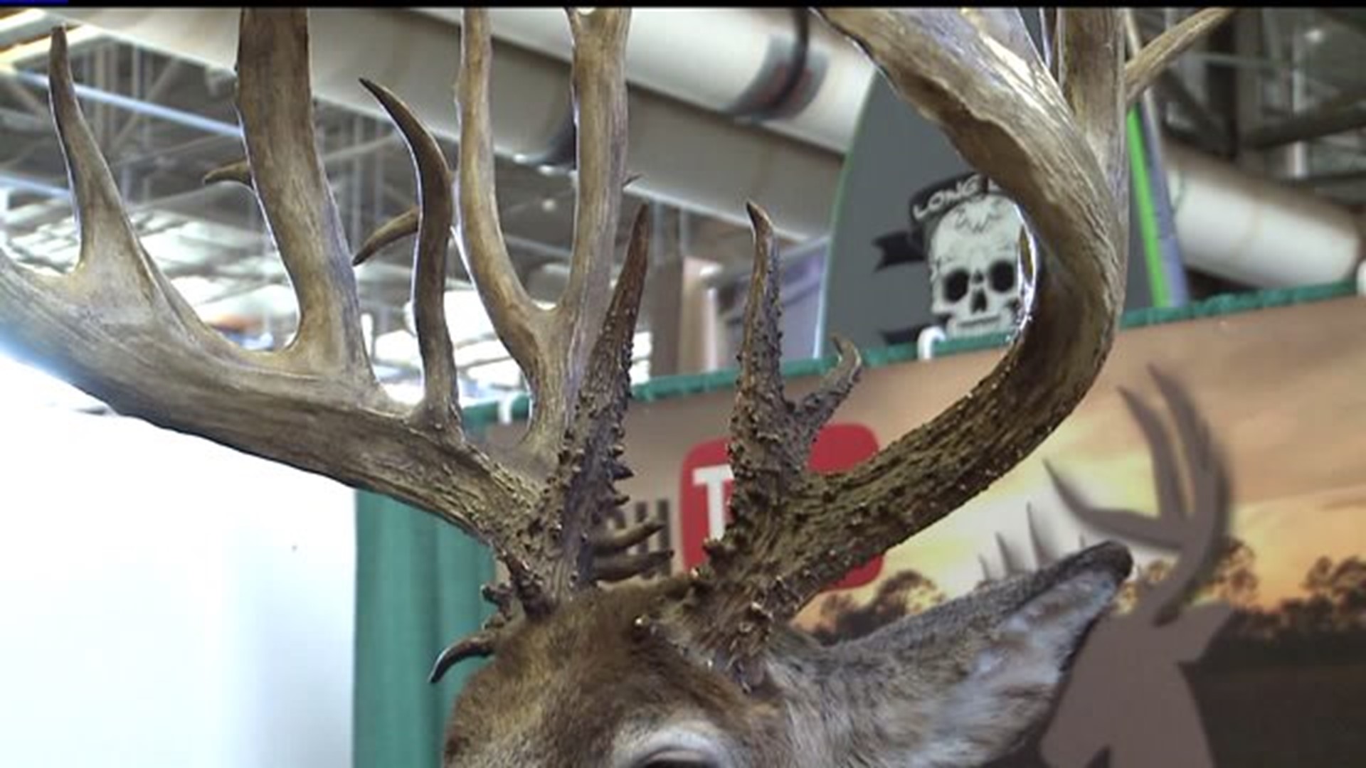 28-Point buck on display at Great American Outdoor Show