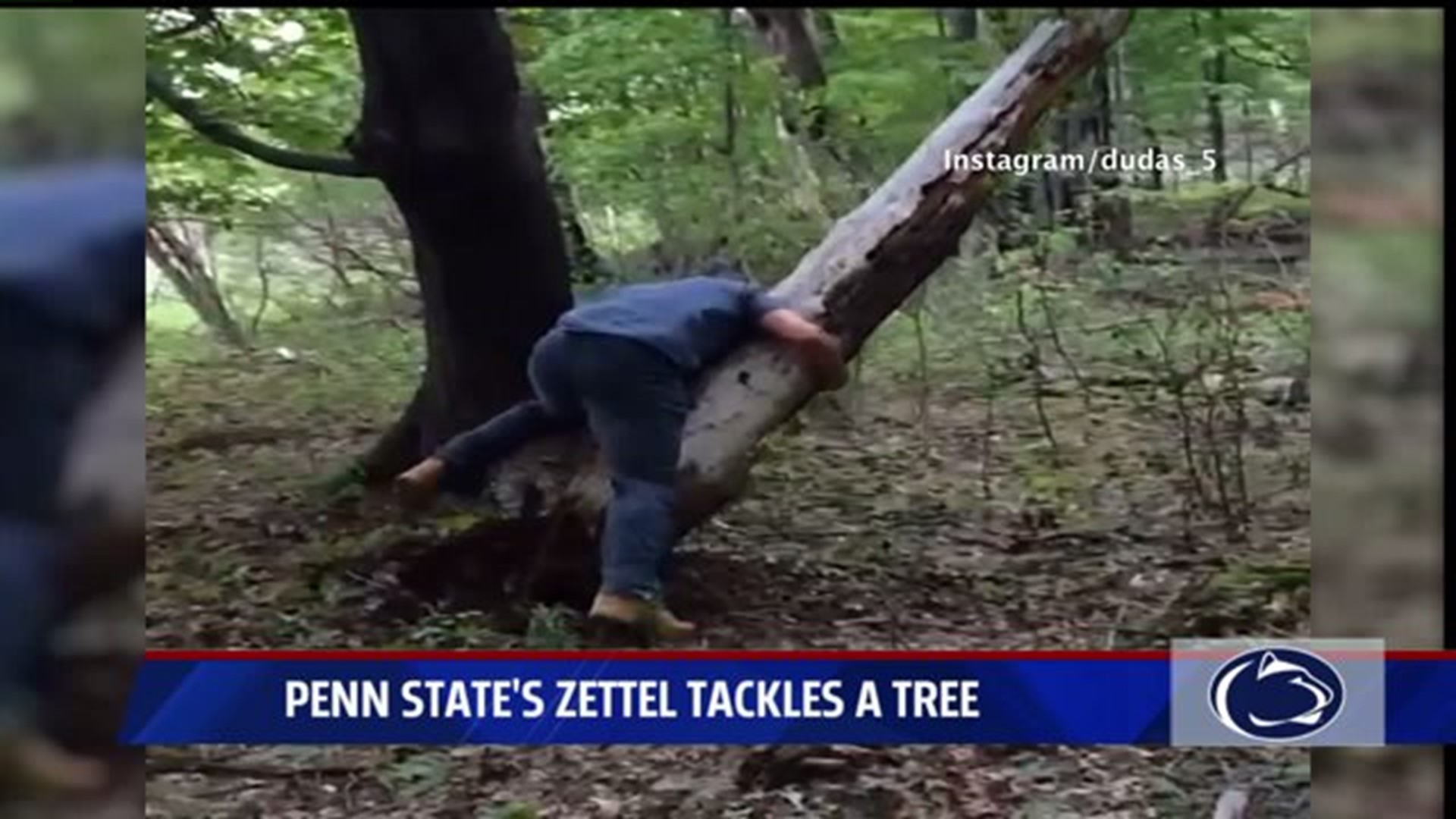 PSU Defensive Tackle Anthony Zettel trains by tackling a tree