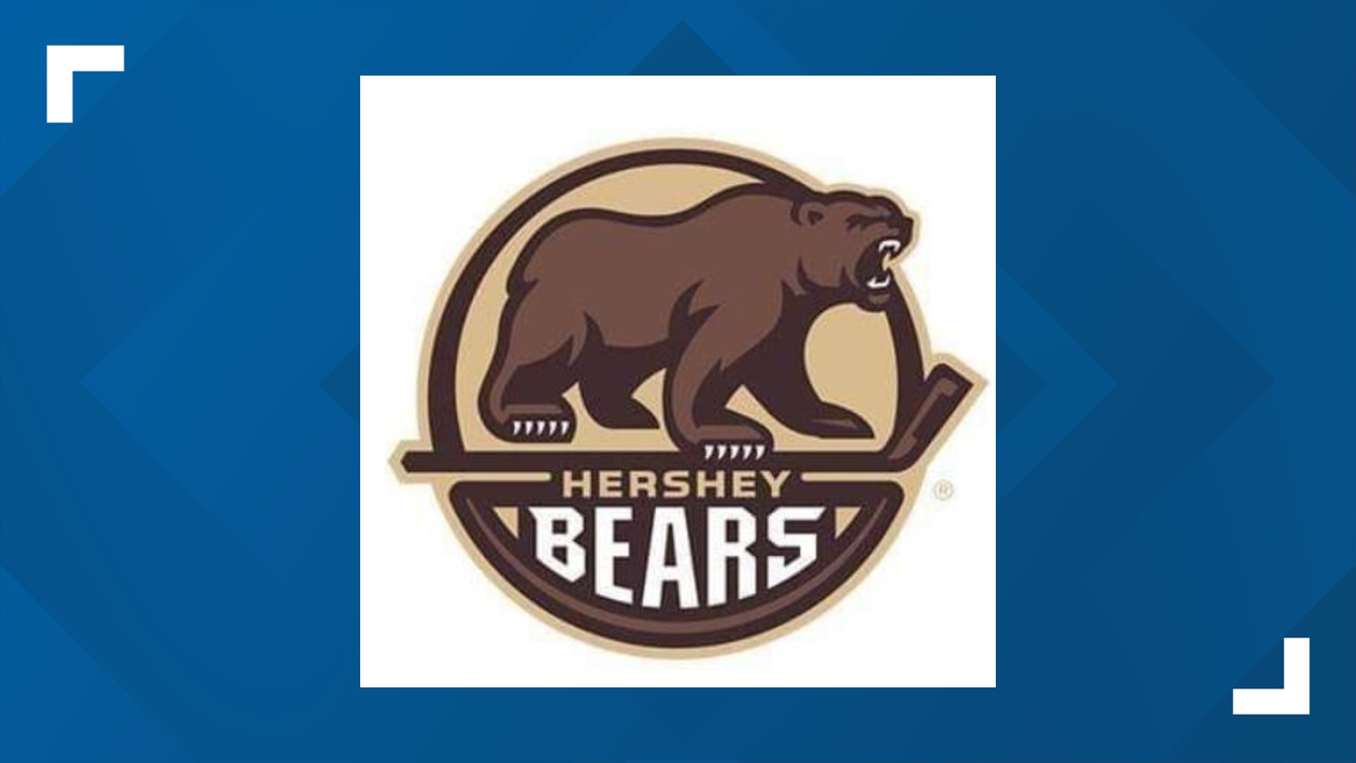 Hershey Bears announce ticket information and promotional nights for