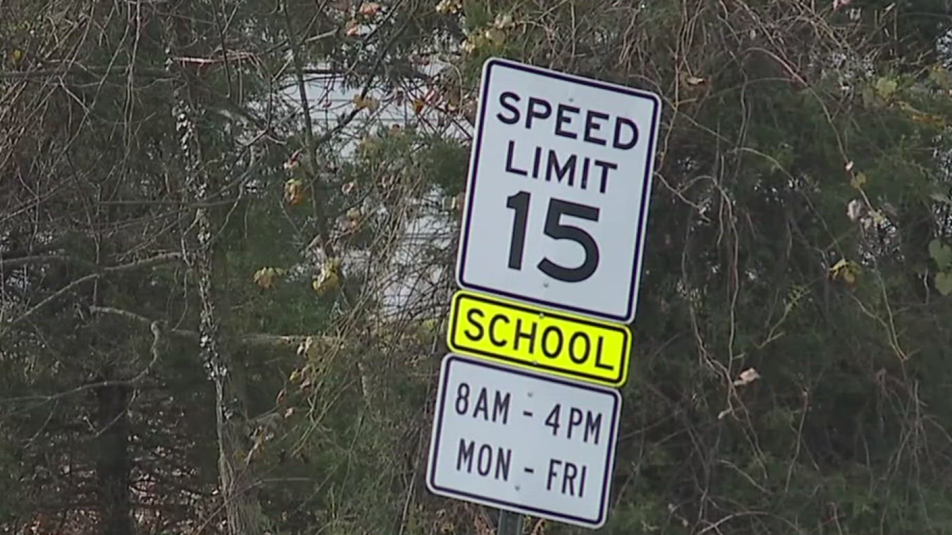 Motorists should expect to see school buses back on the roads and should know the penalties of violating traffic laws in school zones and at bus stops.