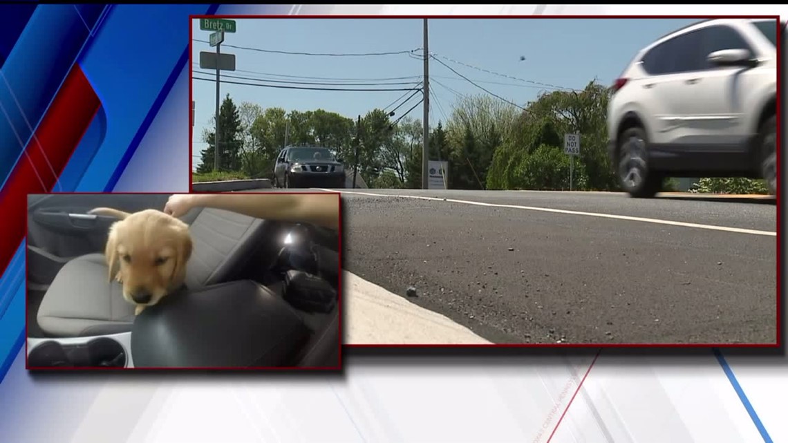 ‘Ask Evan’ “Is it legal to drive with a dog in your lap?”