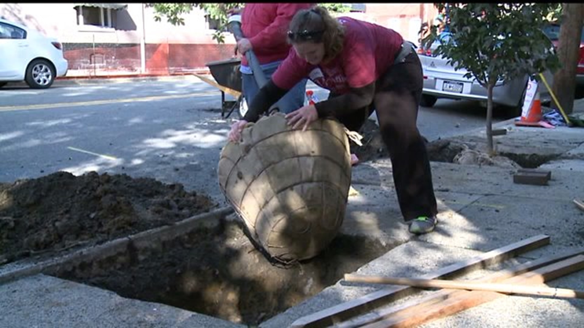 Volunteers spruce up the city of Lancaster