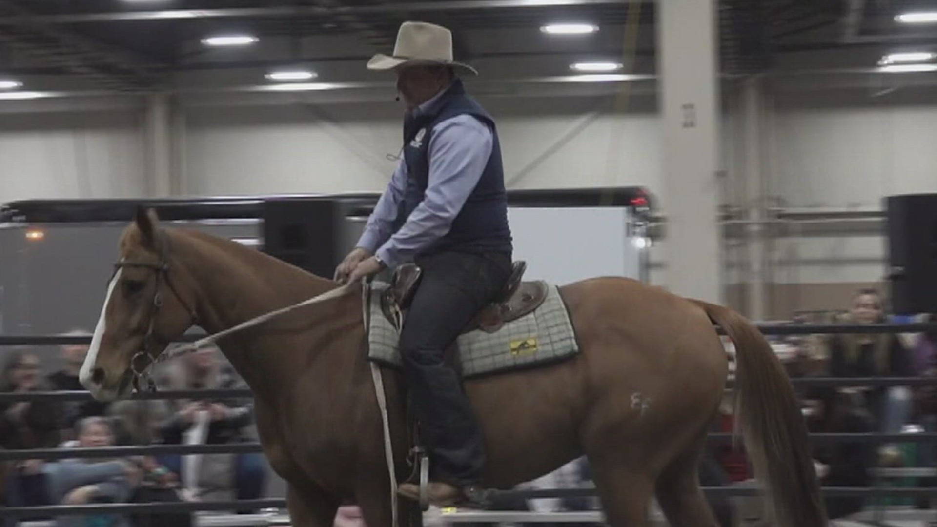 More than 1,500 equestrian superstars are competing from Oct. 12 - Oct. 22.