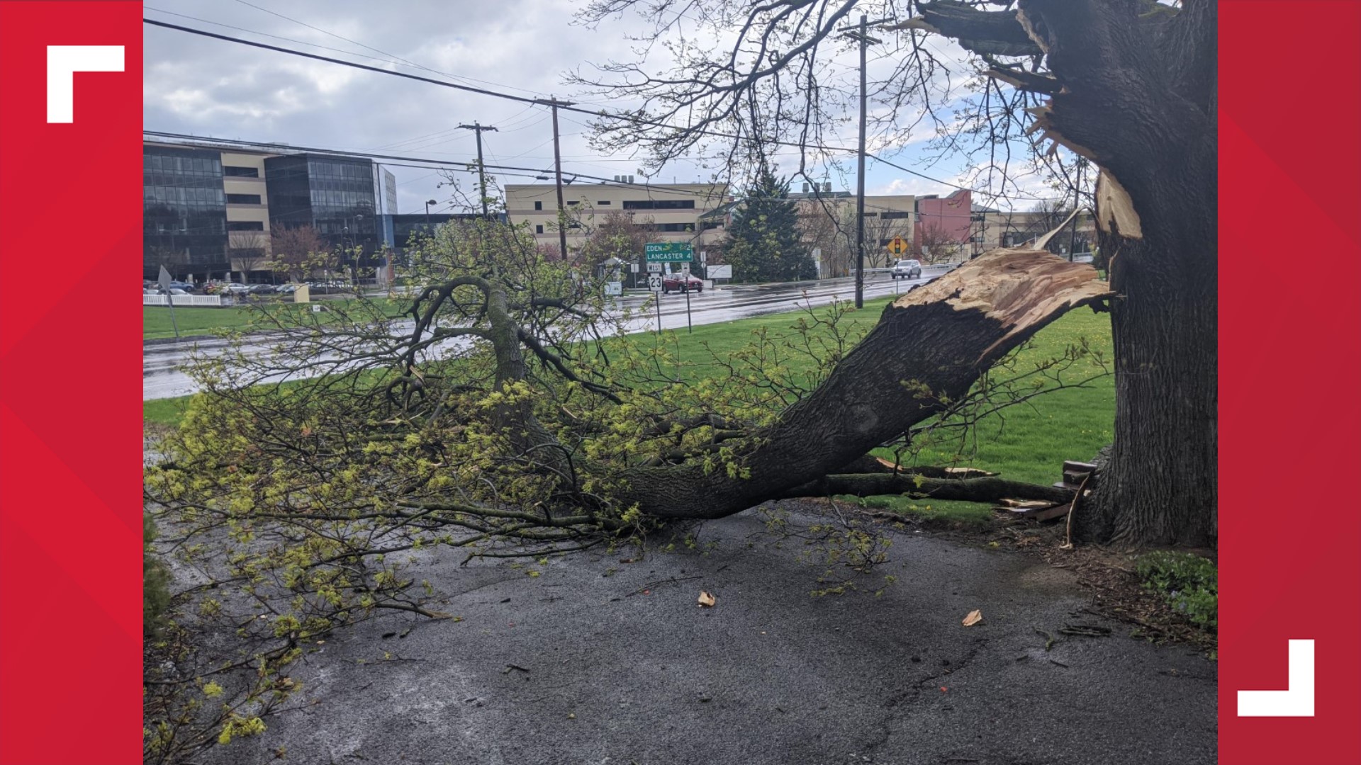 Storm damage in Central Pennsylvania | fox43.com