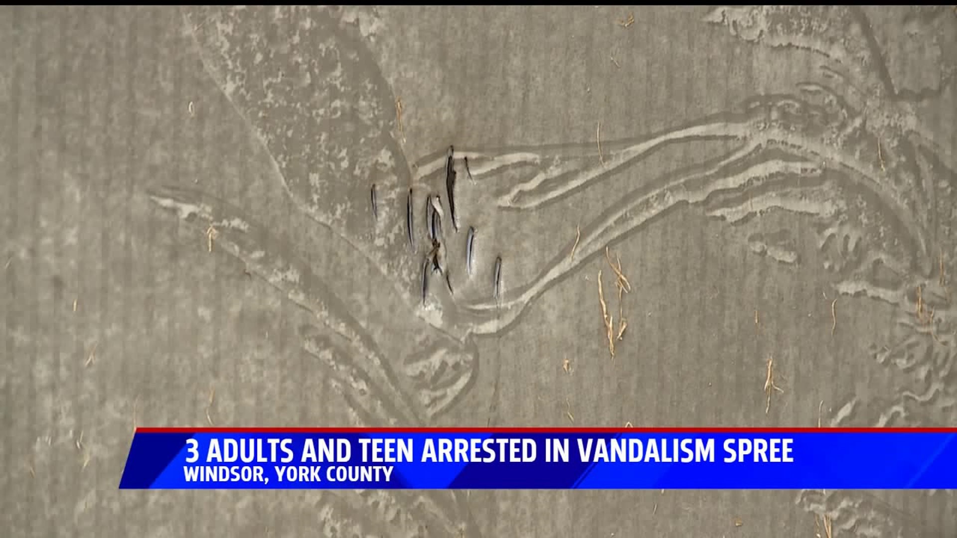 Red Lion vandalism suspects arrested; tens of thousands of dollars in damage caused