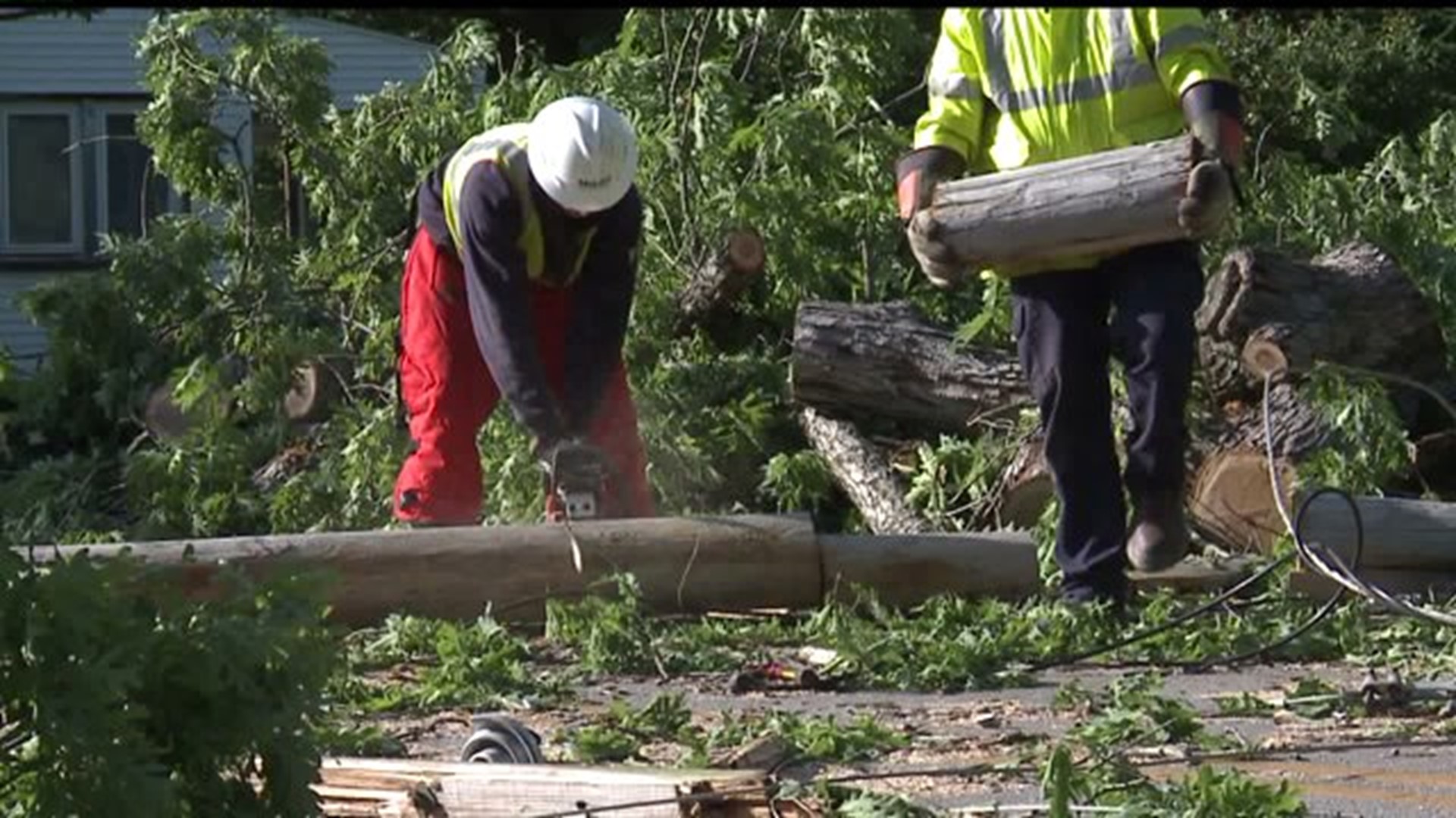 Tree falls and tears down power lines in York County