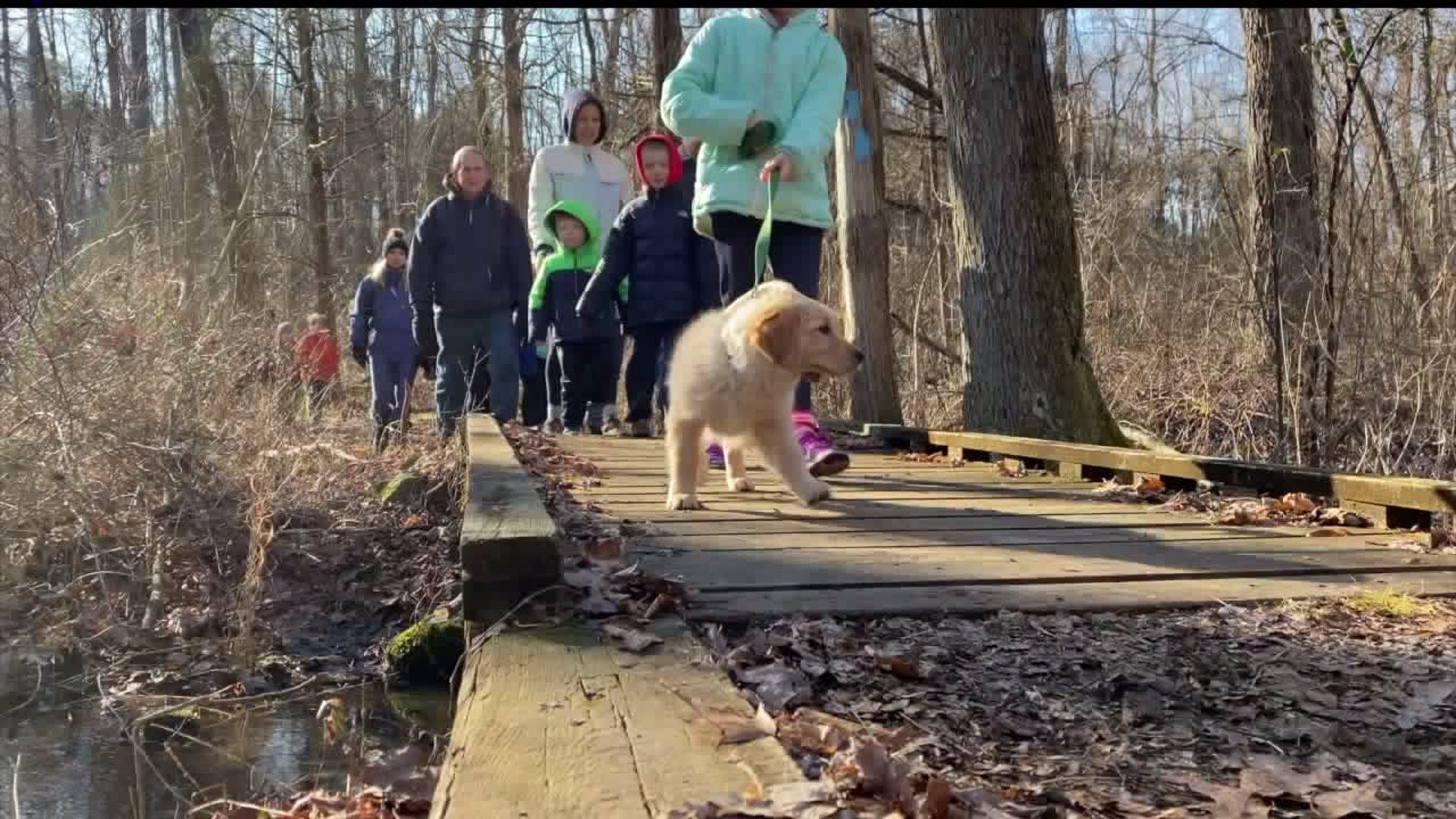 Kick Off the Year Right: Tennessee State Park New Year's Day Hikes