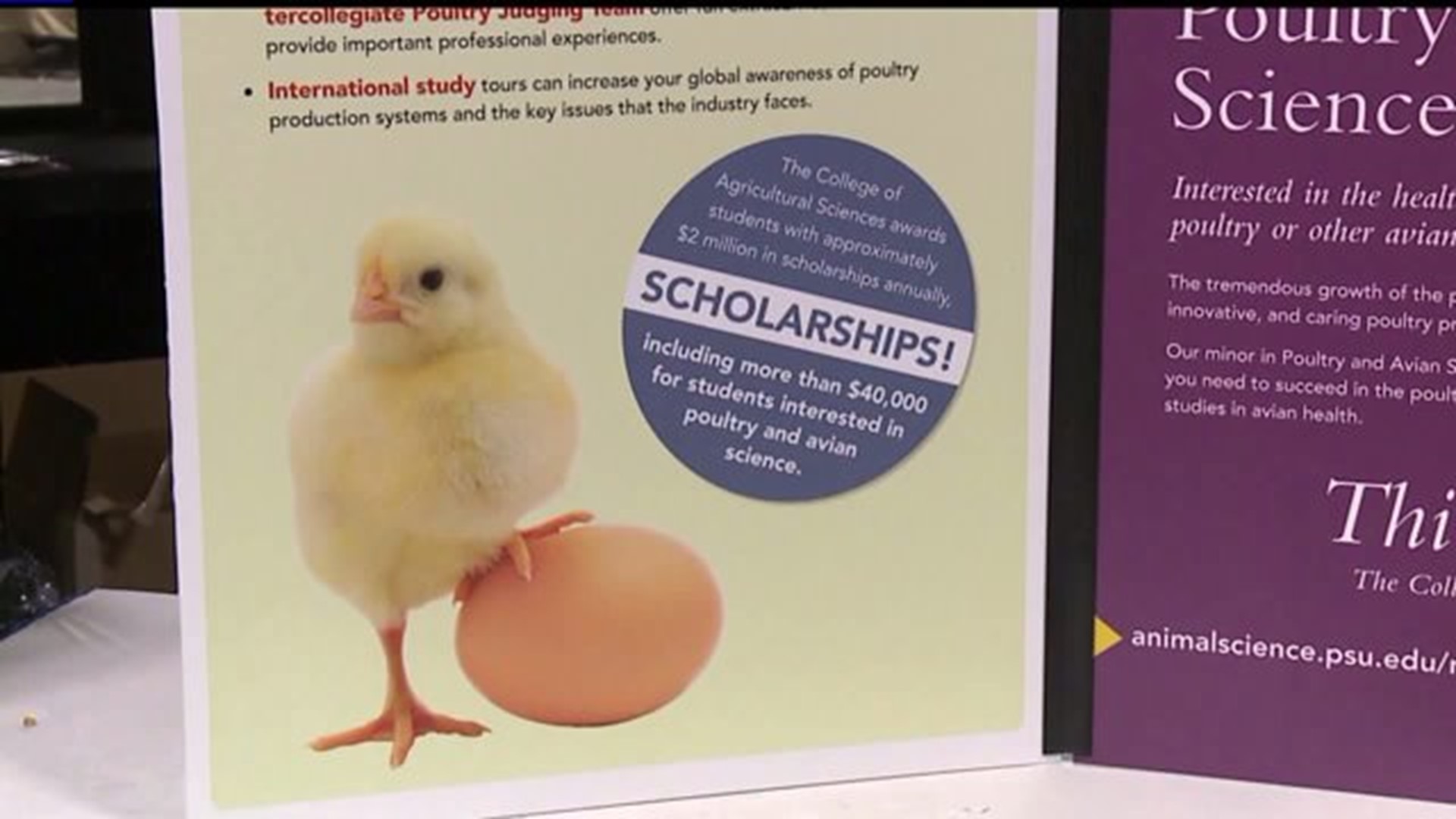 Poultry missing from the 100th Farm Show