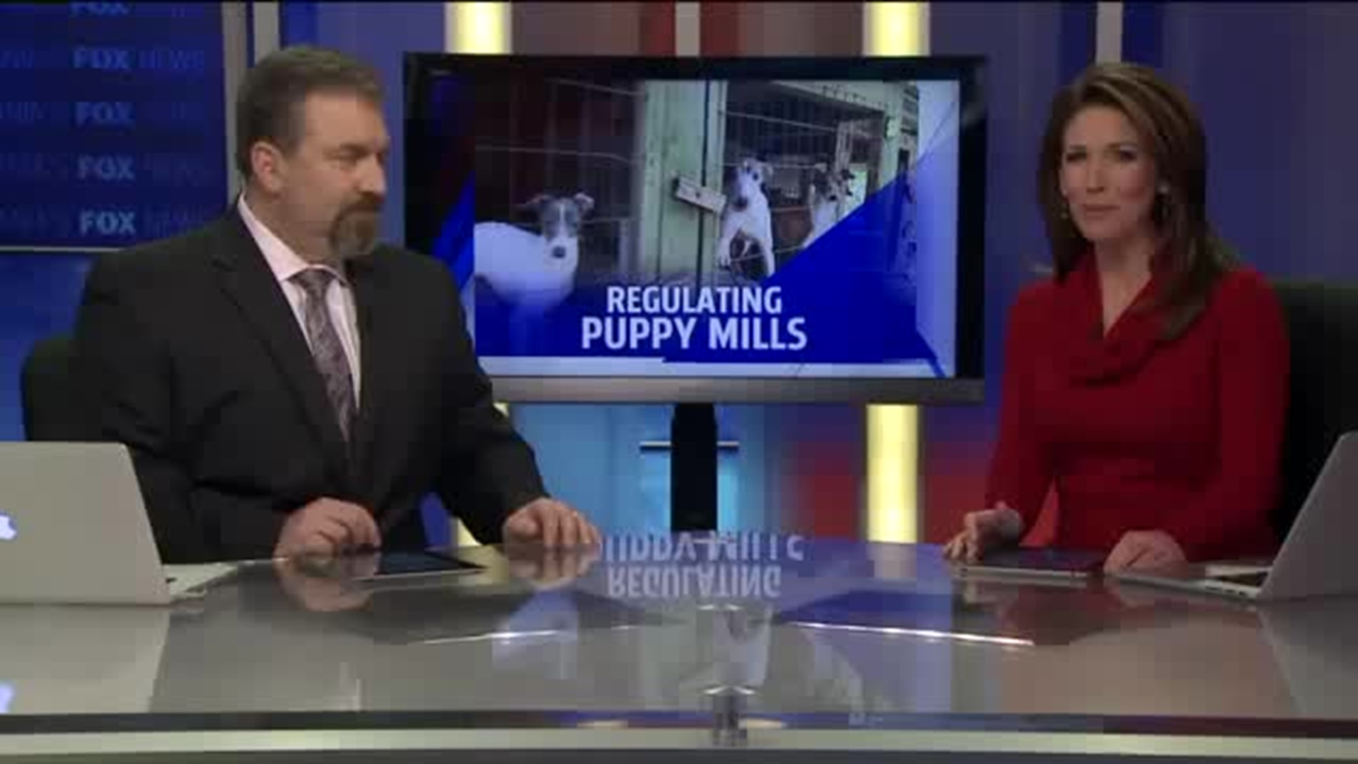 “Dog Law” battles puppy mill issue in Lancaster County