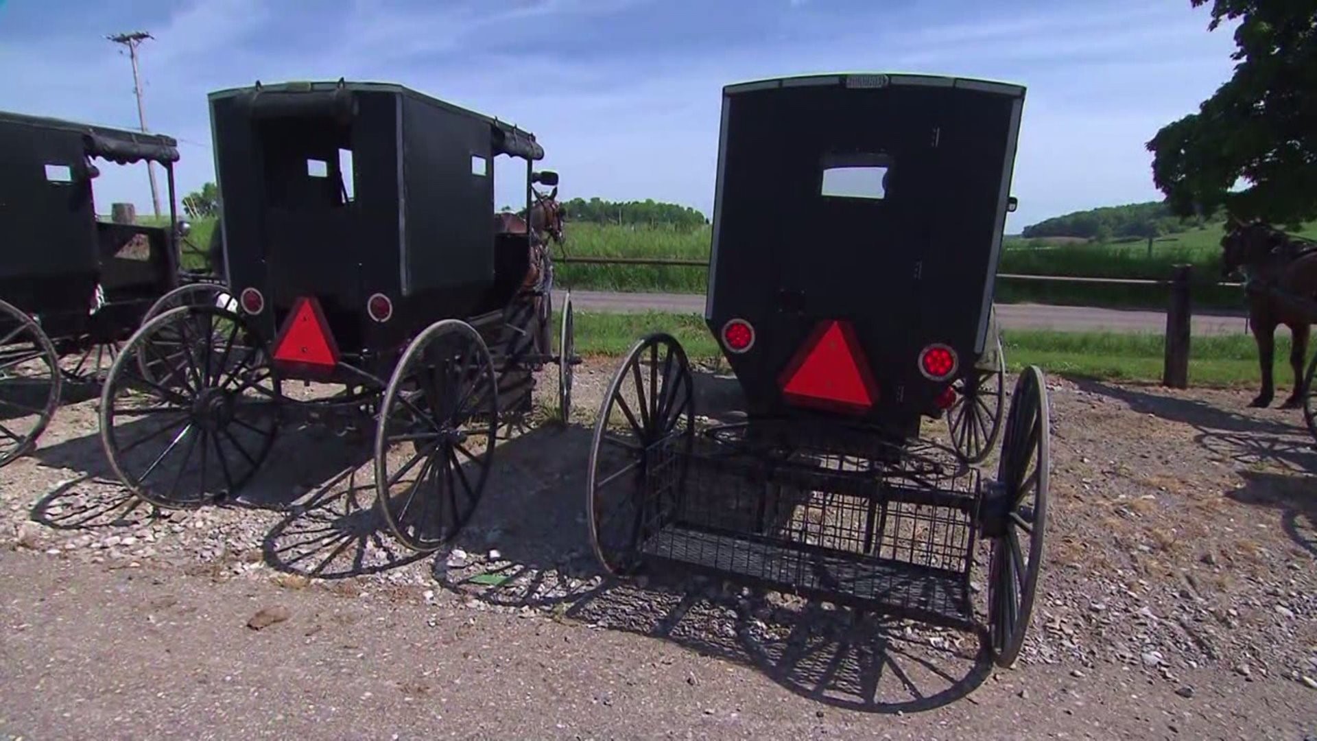Child injured in Lancaster County horse and buggy crash | fox43.com