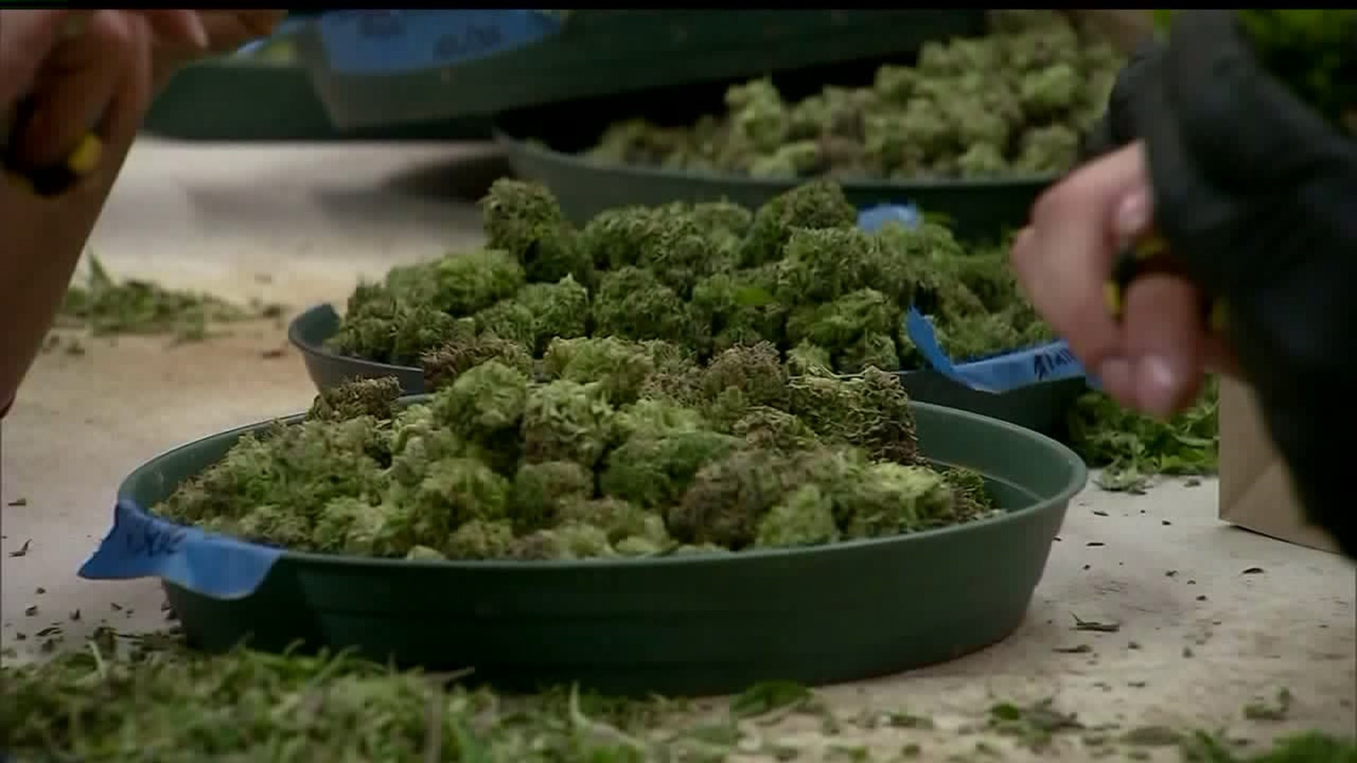 Medical marijuana condition list could soon grow
