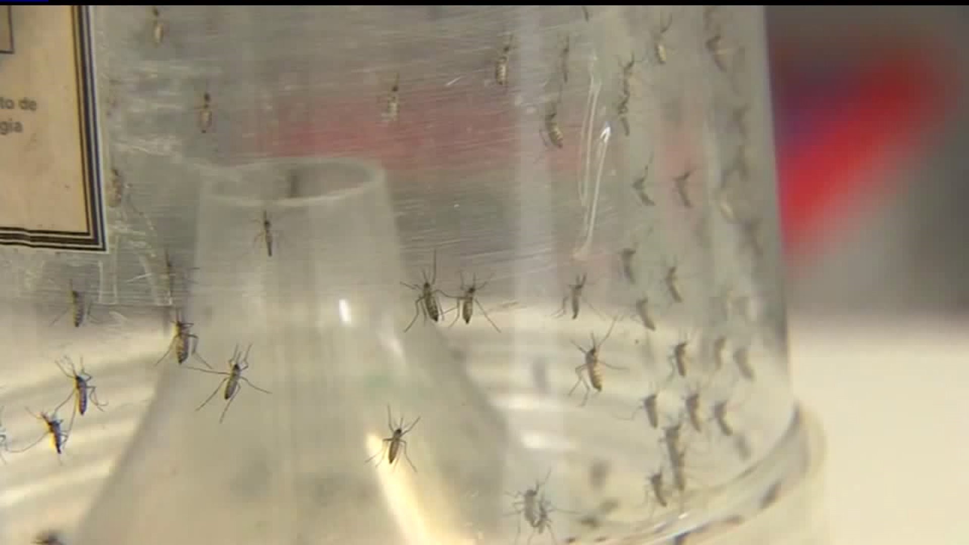 Mosquitoes with West Nile Virus popping up across PA