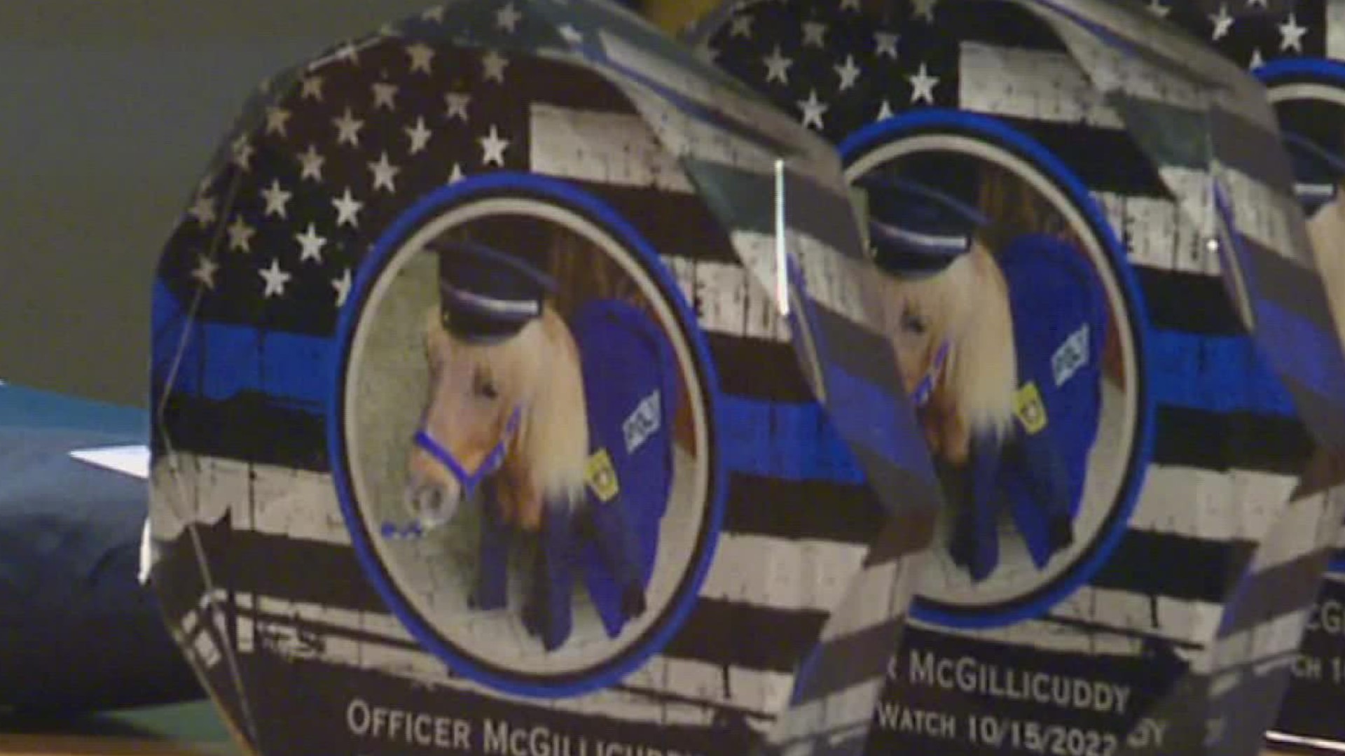 Mourners from across Quarryville gathered tonight to honor the life of equine Officer McGillicuddy at a memorial service.