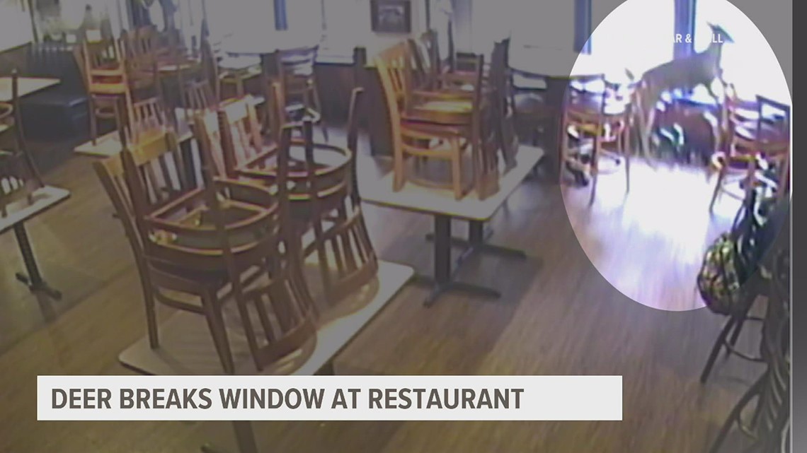 Deer crashes into Gettysburg restaurant - Vimarsana News