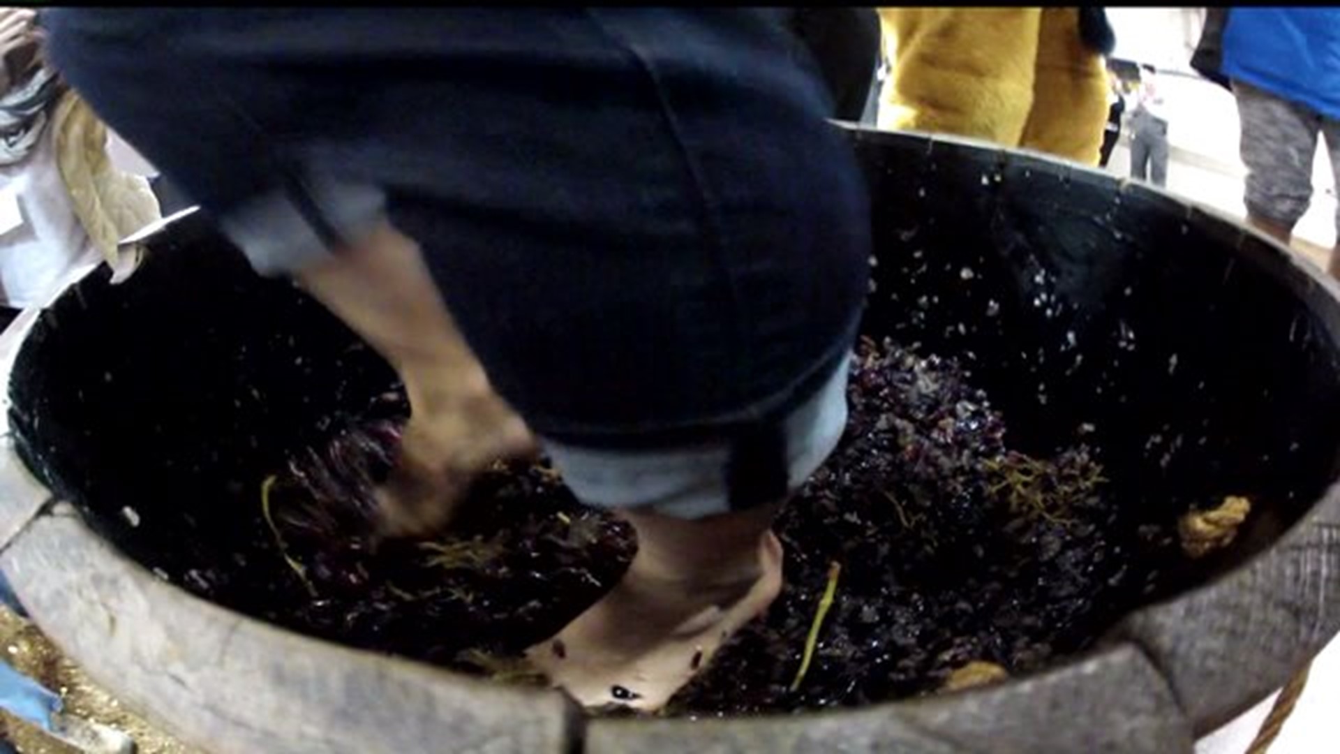 The Great Grape Stomp at the 2015 PA Farm Show
