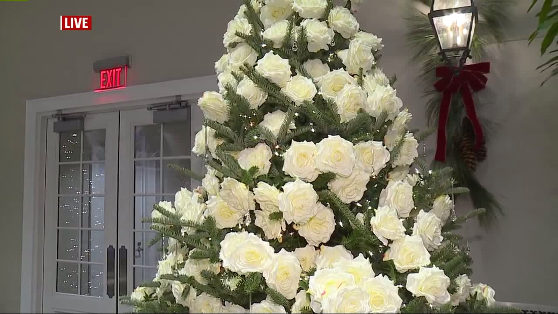 Christmas Tree Showcase at Hershey Gardens