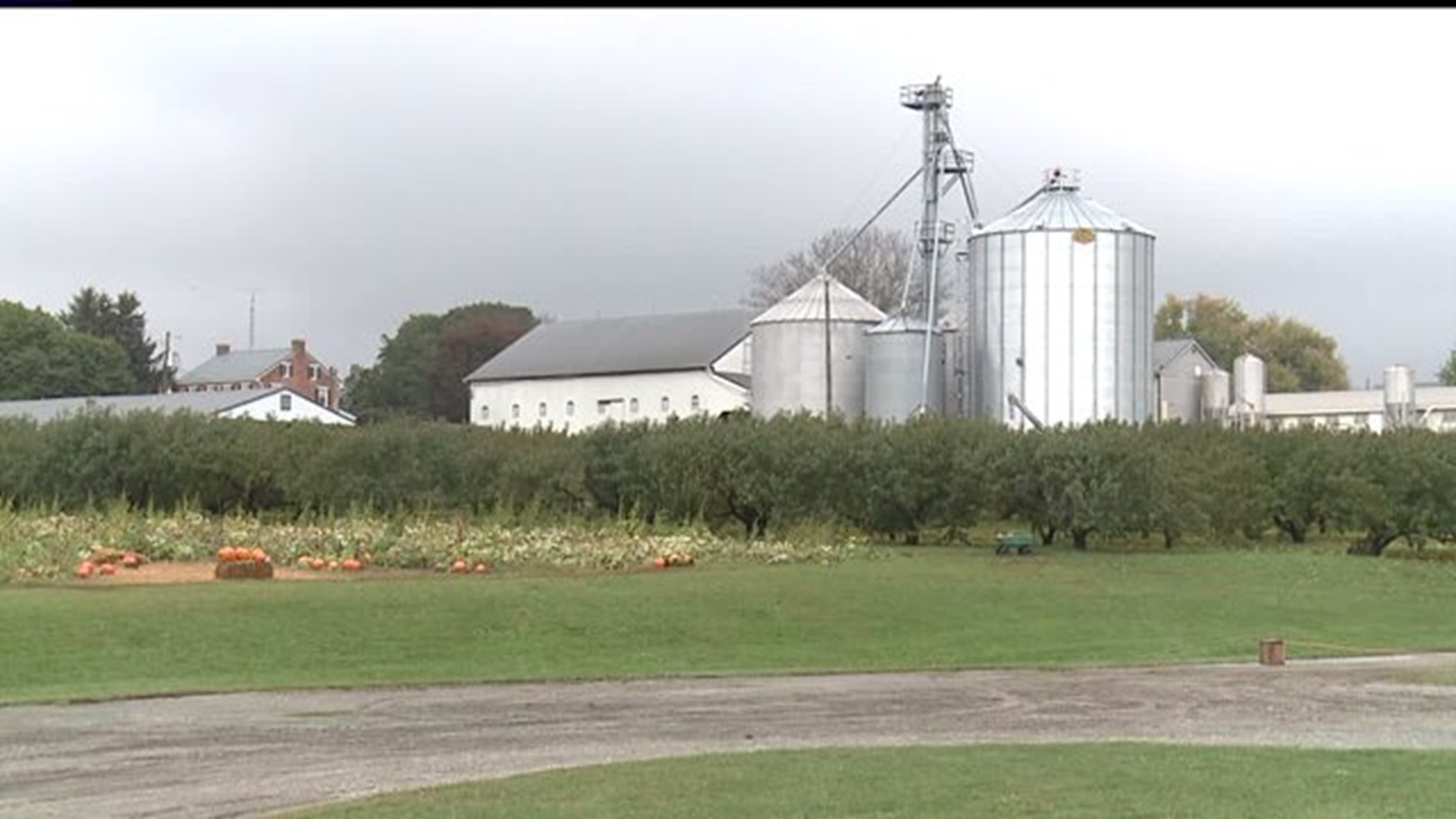 PA first to preserve 500,000 acres of farmland