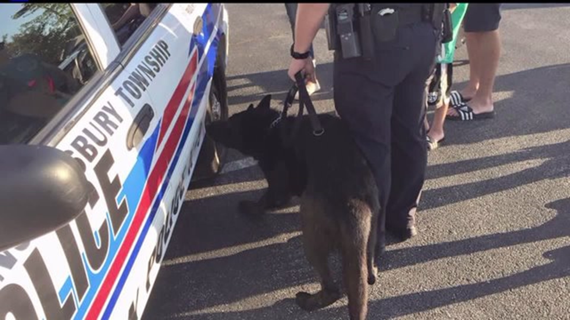 Police officers pay respect to Springettsbury Township K-9