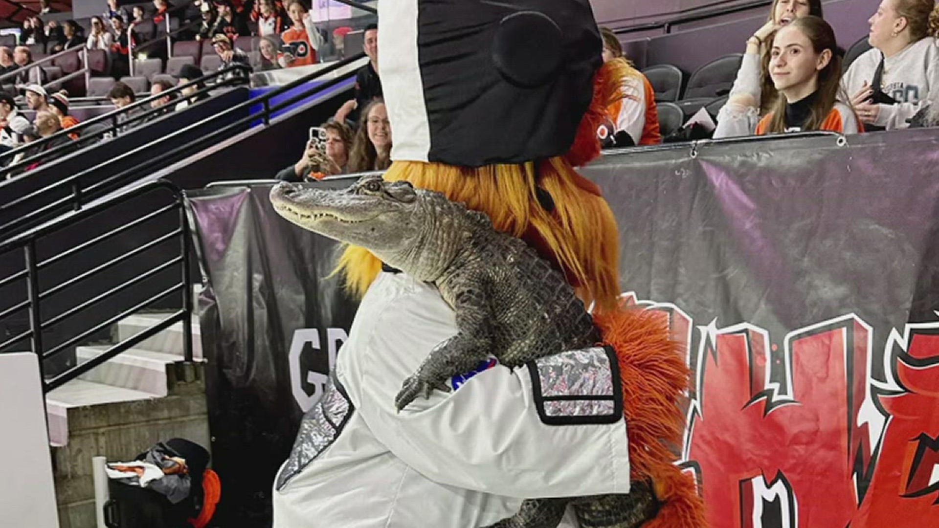 Wally the alligator was denied entrance to a Phillies game on Sept. 27, but the Flyers had no such reservations about welcoming a new scaly friend.
