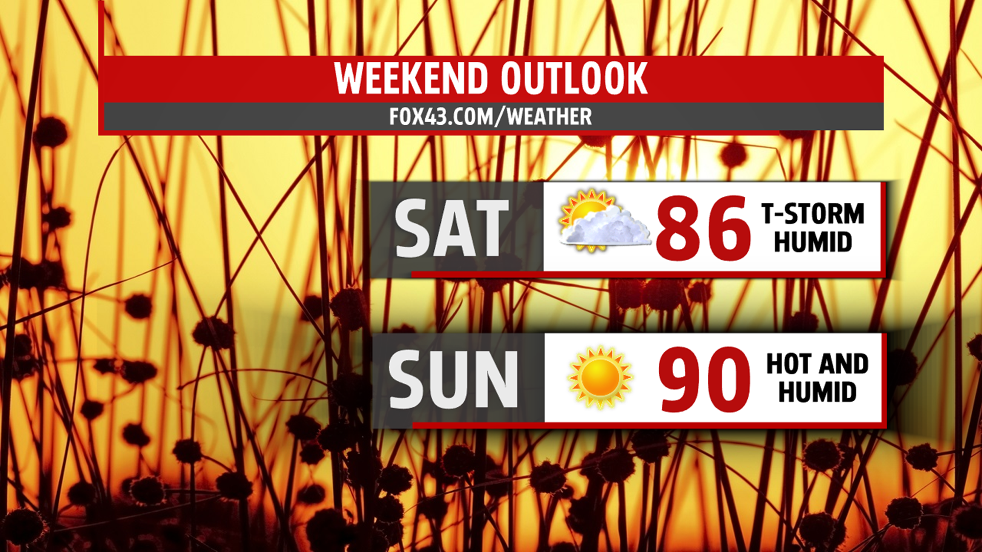 Heat and humidity cranks up through the weekend | fox43.com