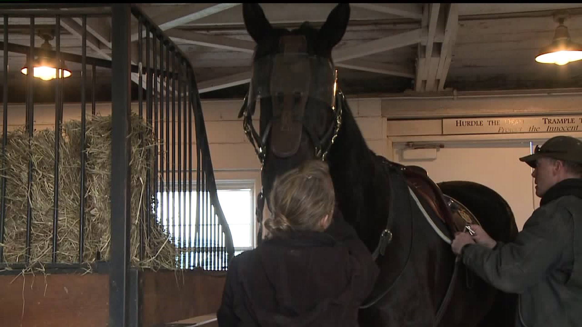 State police mounted units prepare for Super Bowl