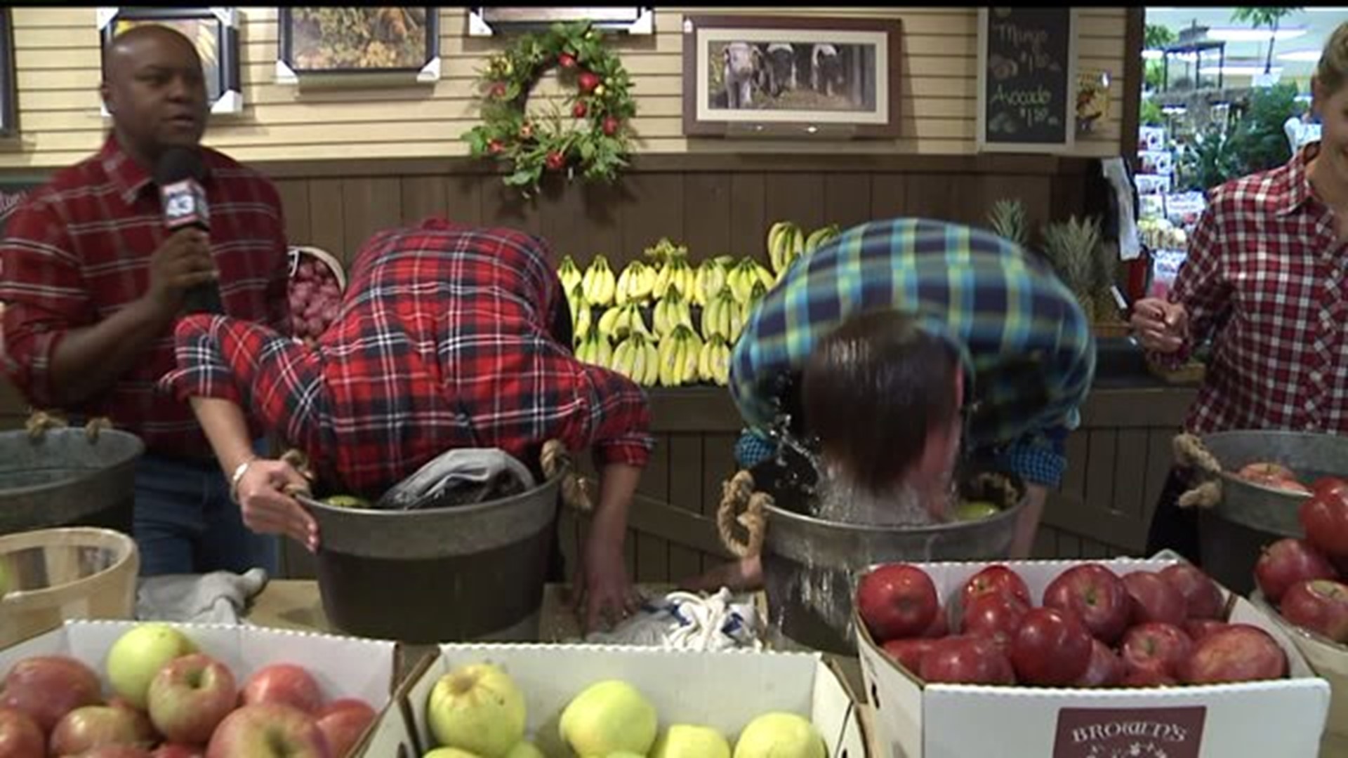Fox 43 Morning Team goes head to head in an apple bobbing competition
