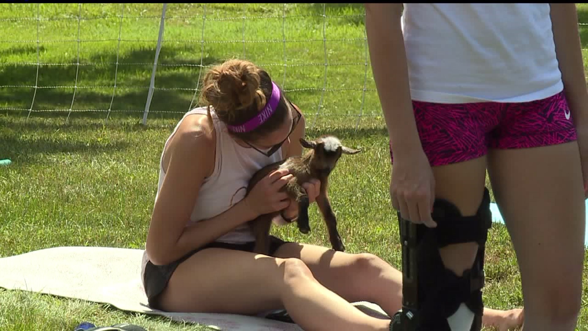 Goats take over Adams County yoga class