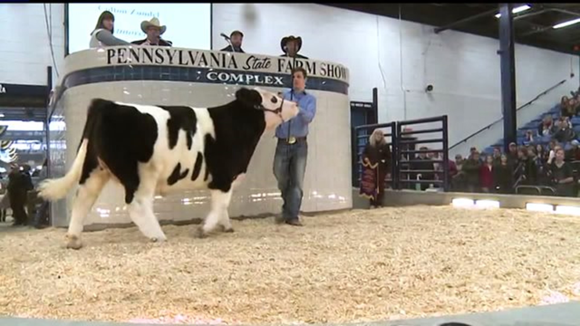 Big Winner, Bigger Heart: Farm Show auction champ donating to family with cancer-stricken daughter