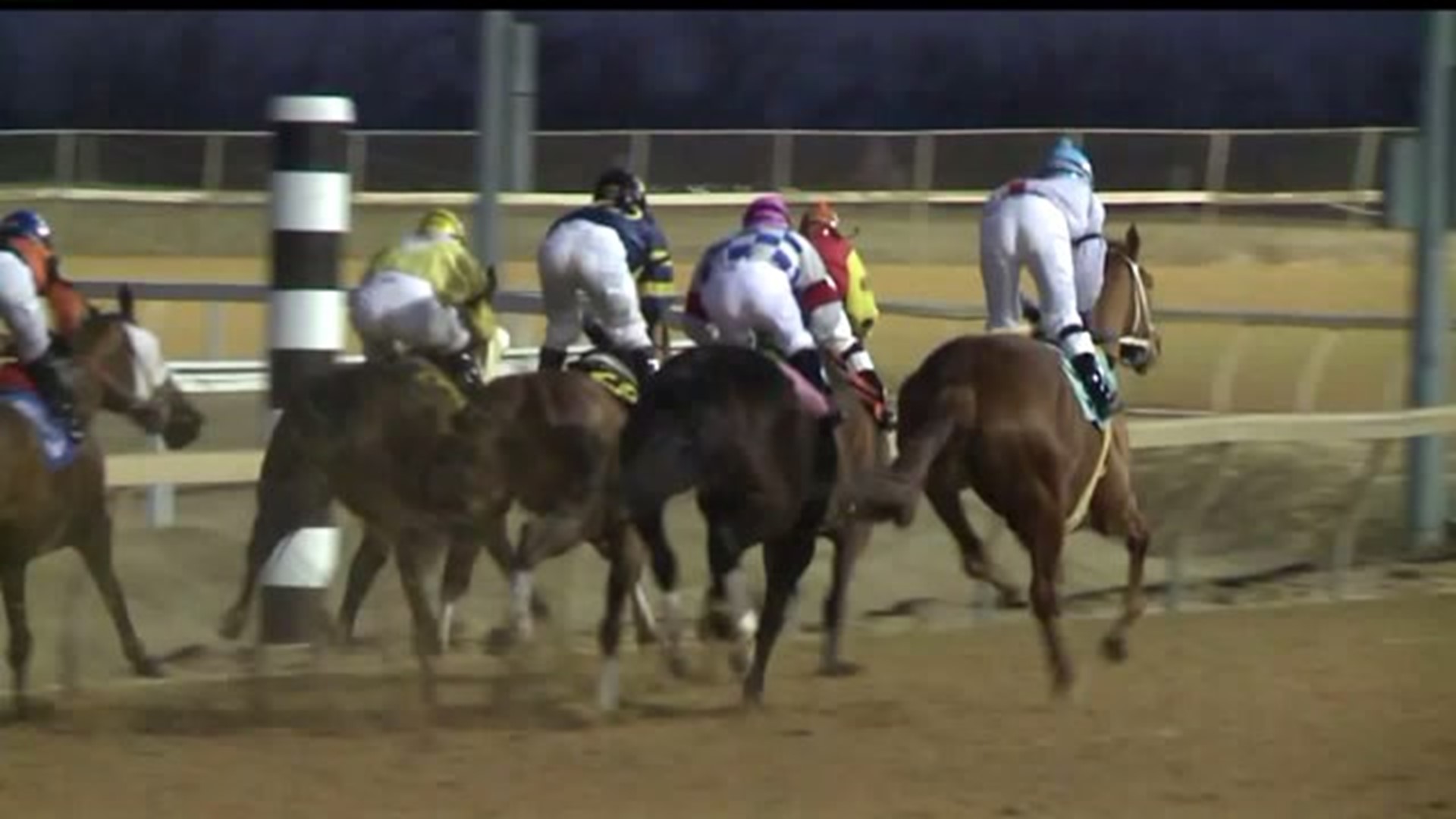 Reform proposed to horse racing industry