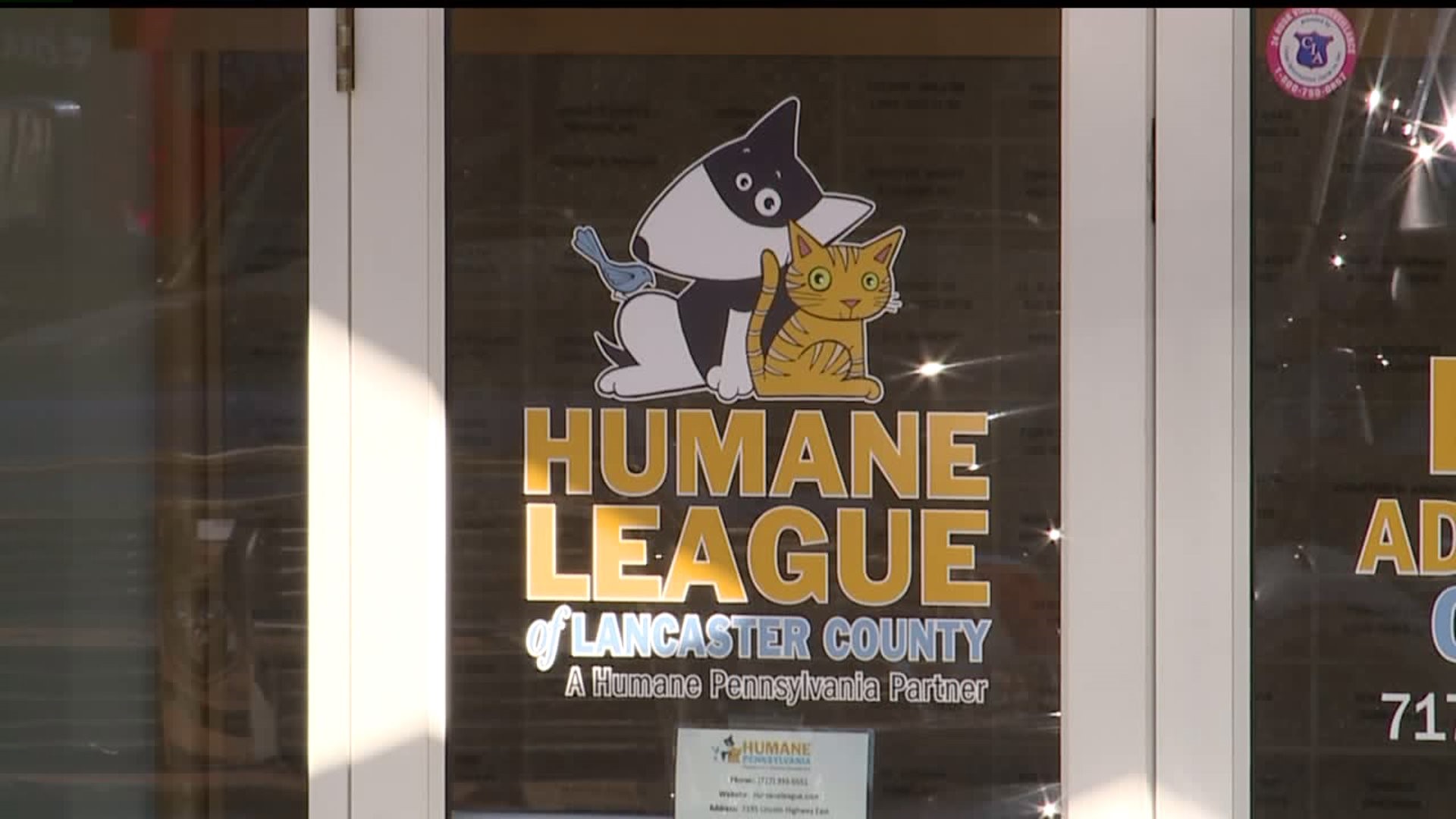 Non-profit in Lancaster County giving homeless dogs a place to call home