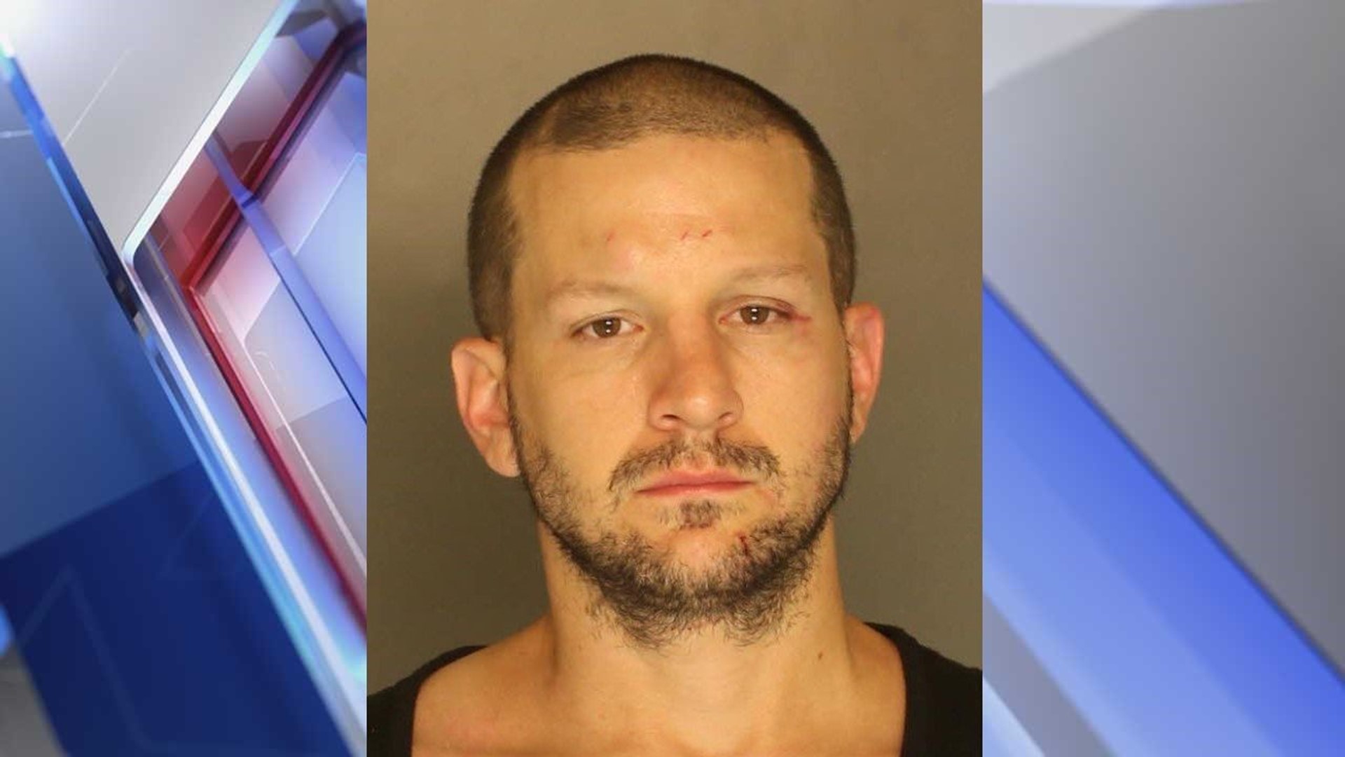 York County man accused of striking woman during fight over dirty ...