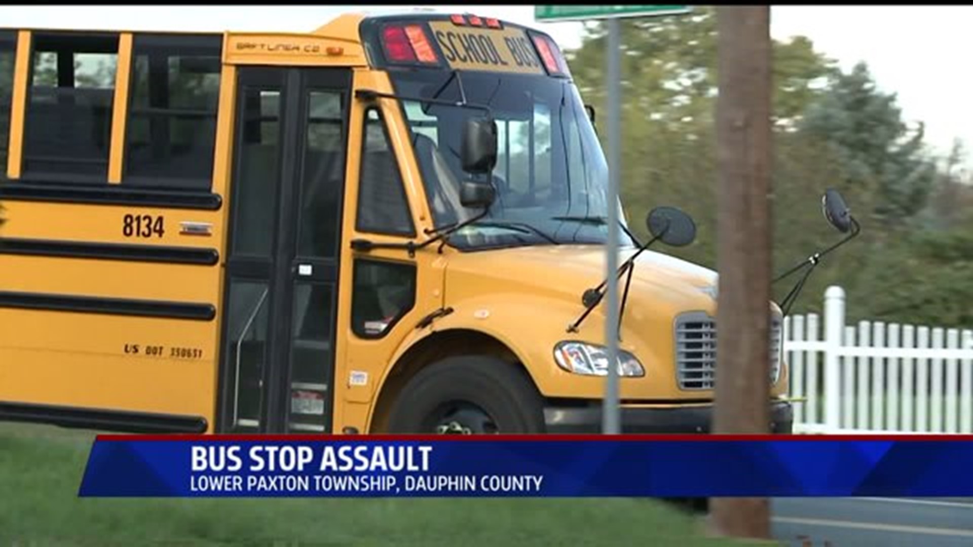 Bus stop assault