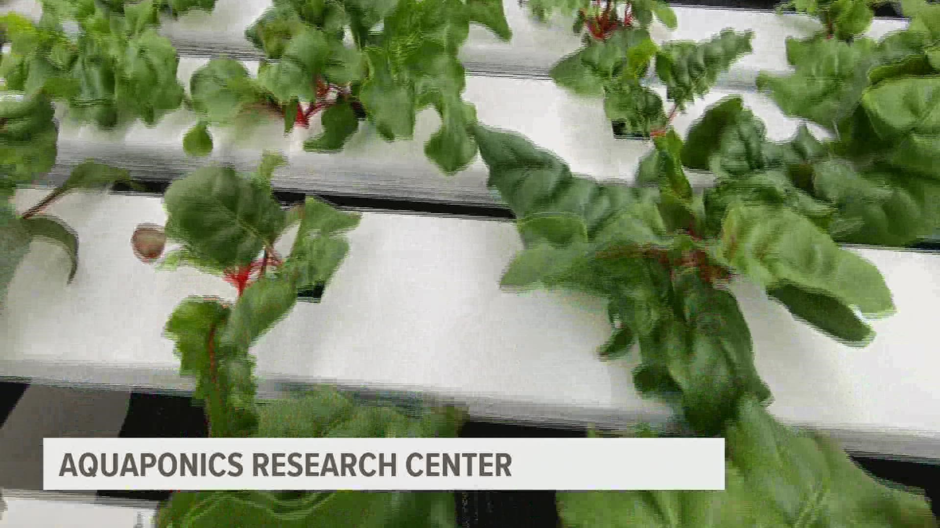 A donation made on Giving Tuesday by The GIANT Company is allowing for expansion of Harrisburg University's hydroponics and aquaponics programs.