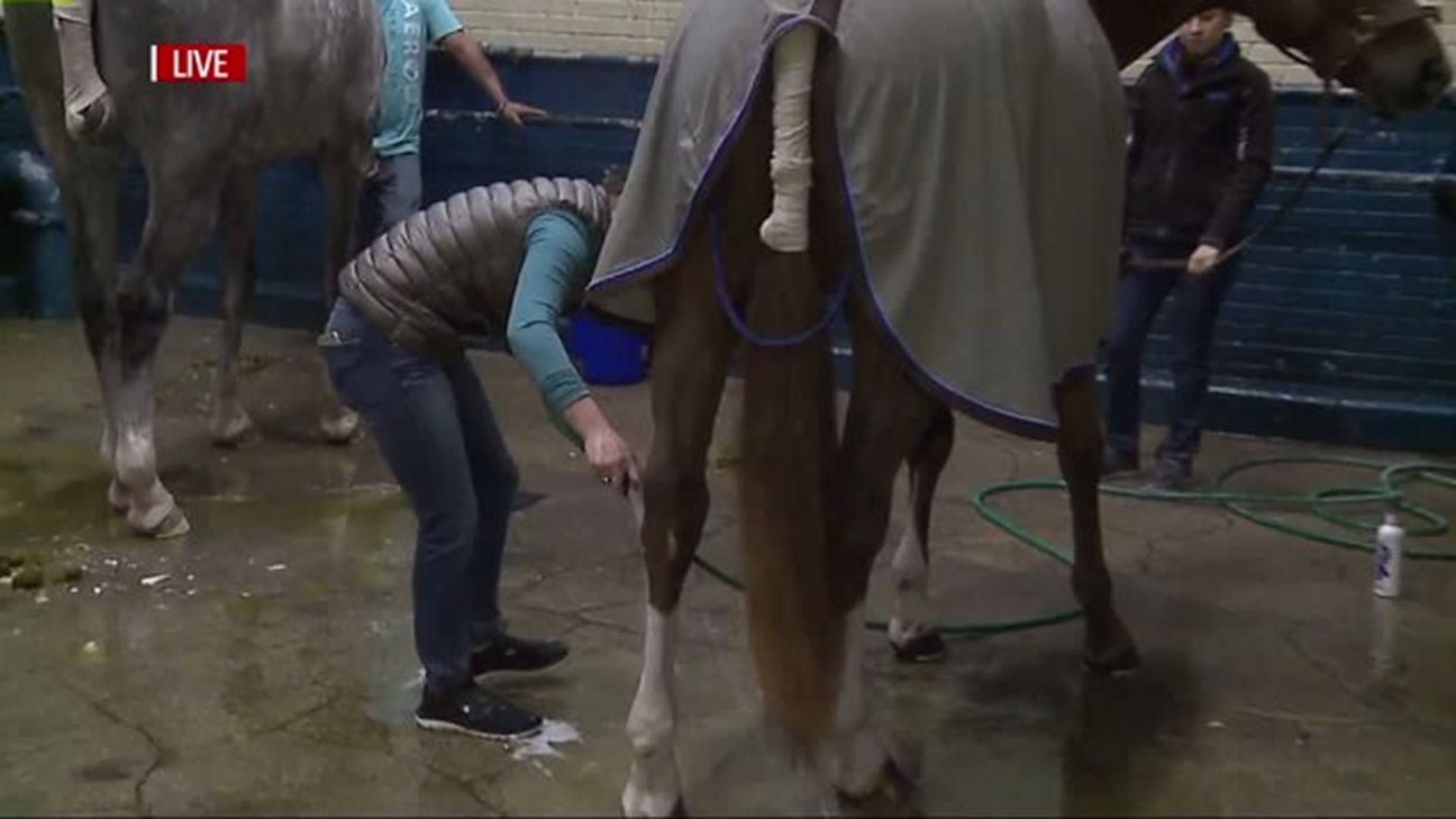 Behind the scenes at the Pennsylvania National Horse Show at the Farm Show Complex in Harrisburg