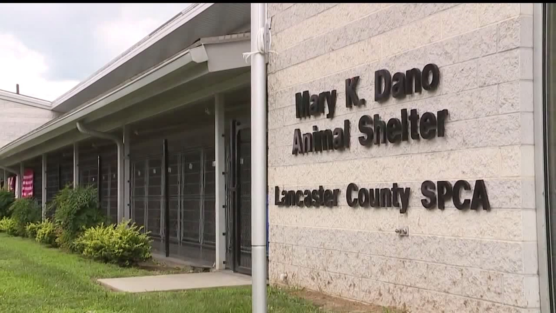 Lancaster Co. SPCA to close; no animal will be left behind