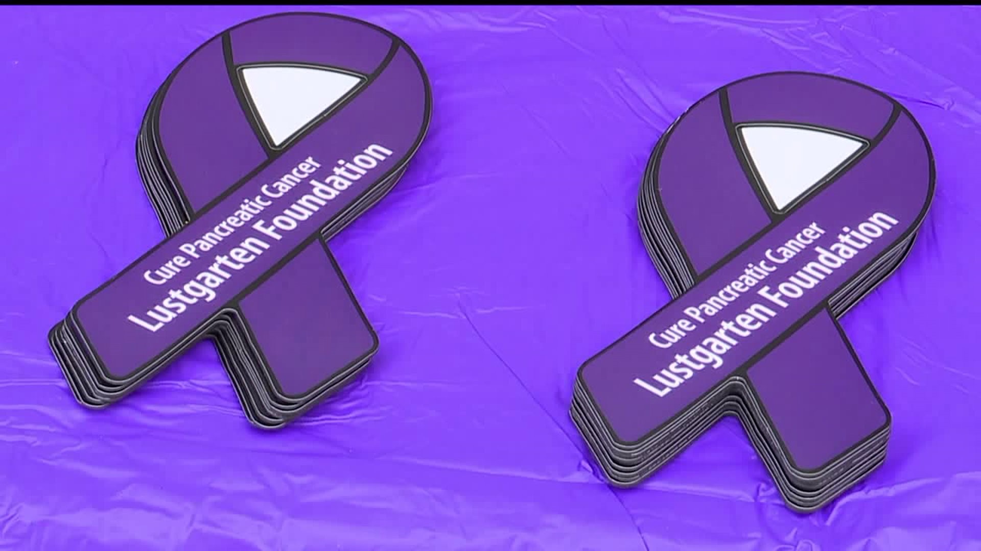 2nd annual Lustgarten walk for pancreatic cancer