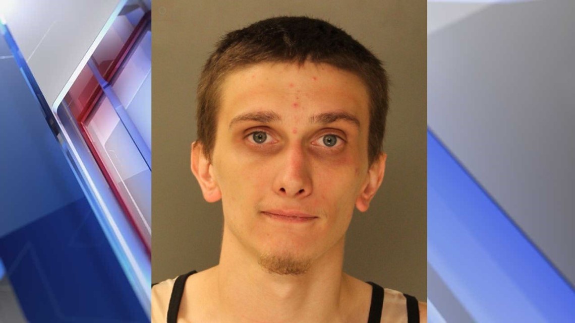 Lancaster County man accused of pointing gun at other vehicle during ...