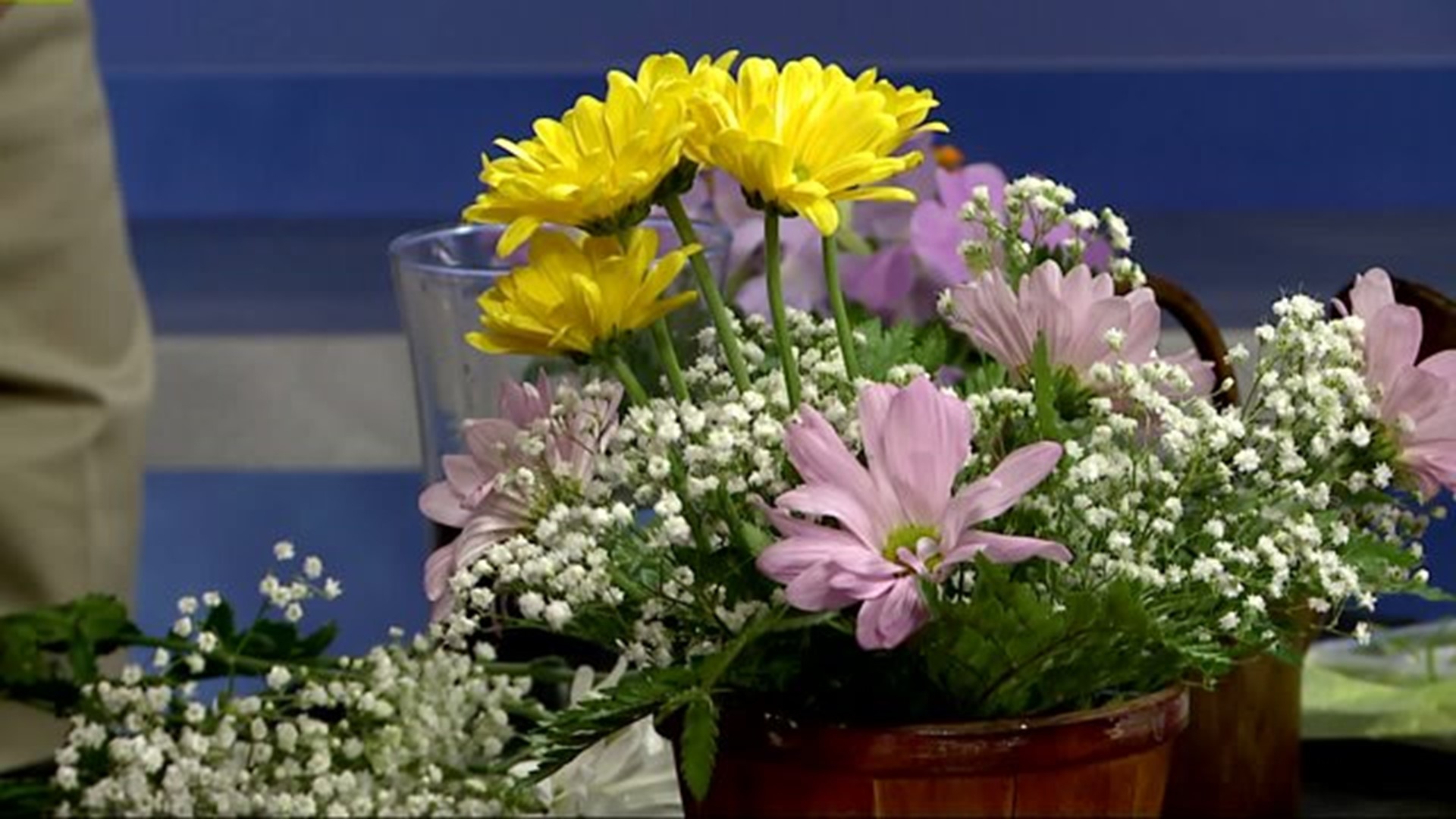 Mother`s day flowers fit for your budget