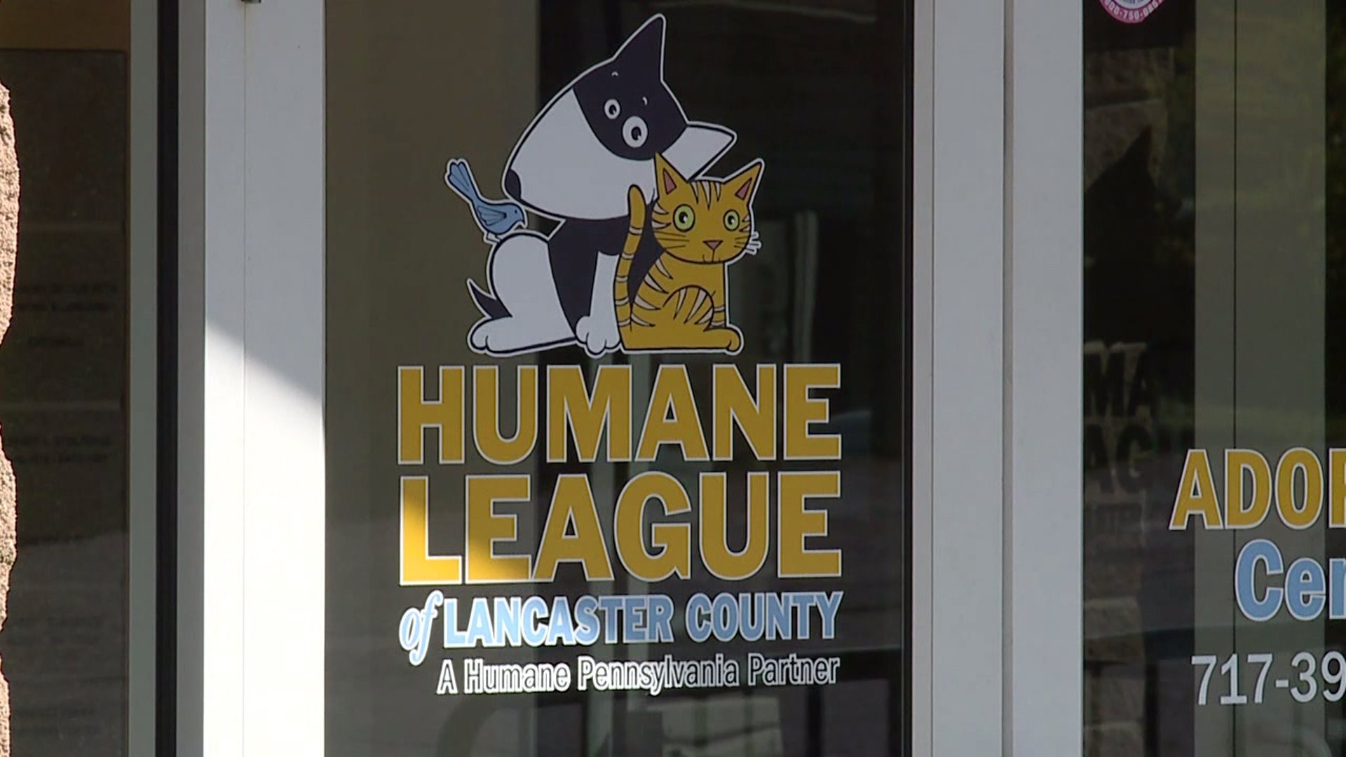 13th annual Lancaster County ExtraGive supports local nonprofits ...
