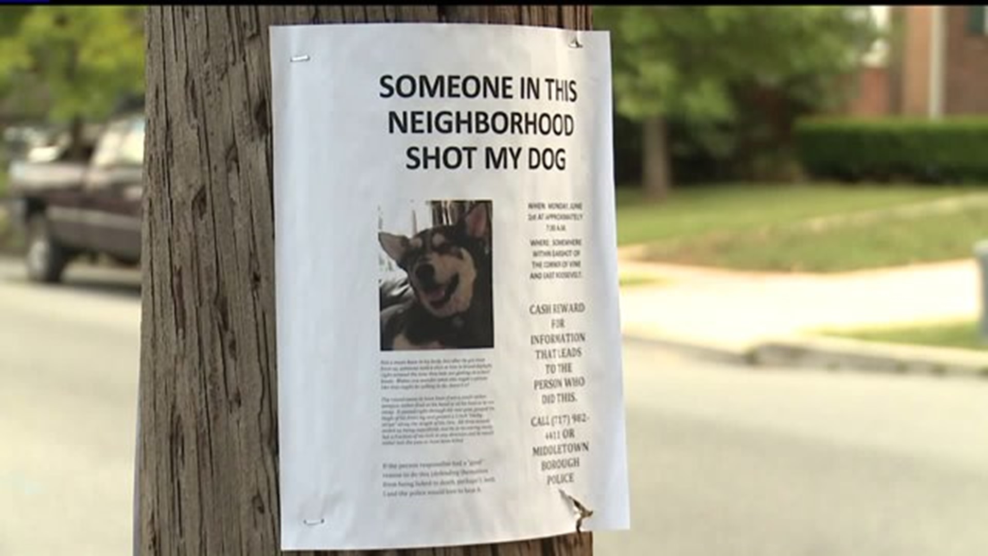 Police in Middletown are investigating after a family`s dog is shot