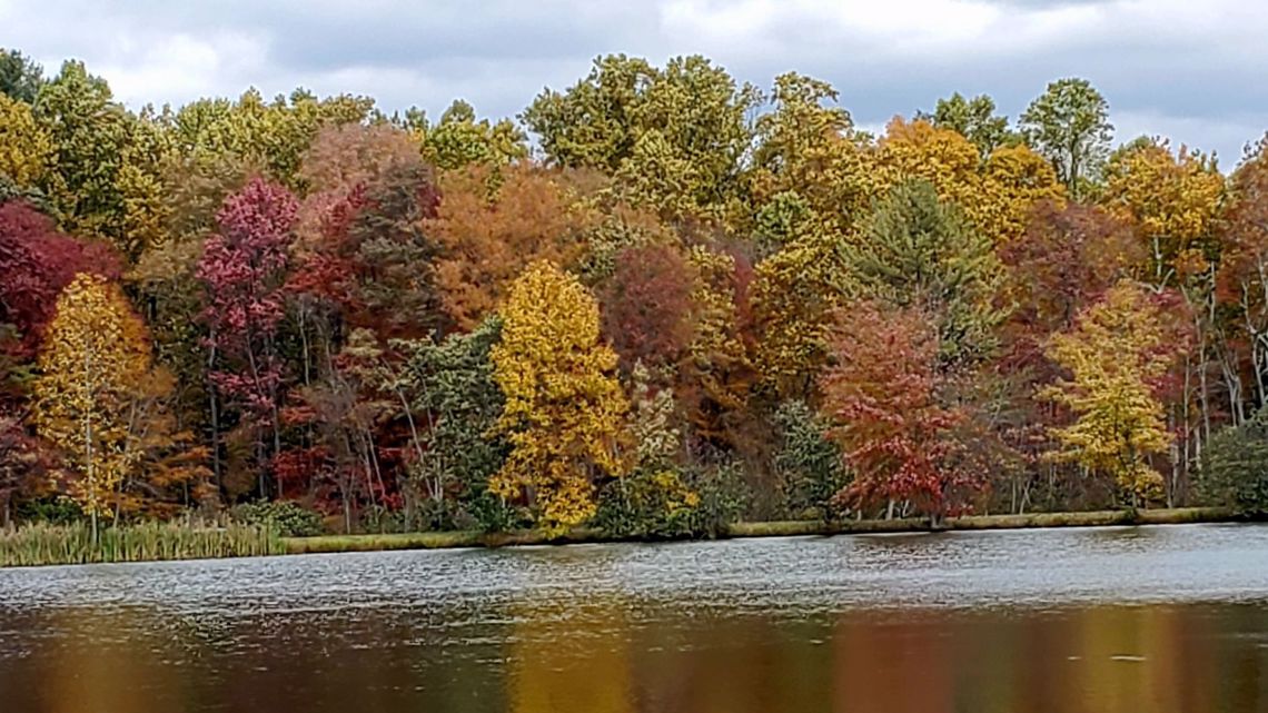 Here's when you can expect to see fall foliage around central Pa. - Vimarsana News