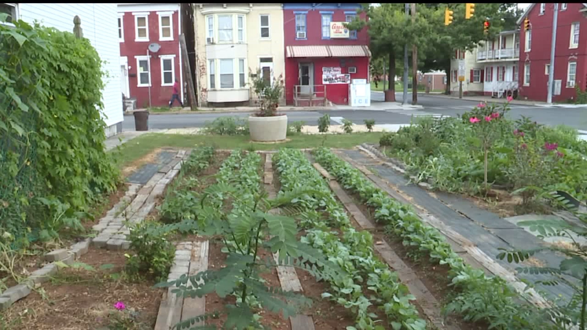 `Miss Yoko` transforms vacant York City property into "Friendship Neighborhood Garden"