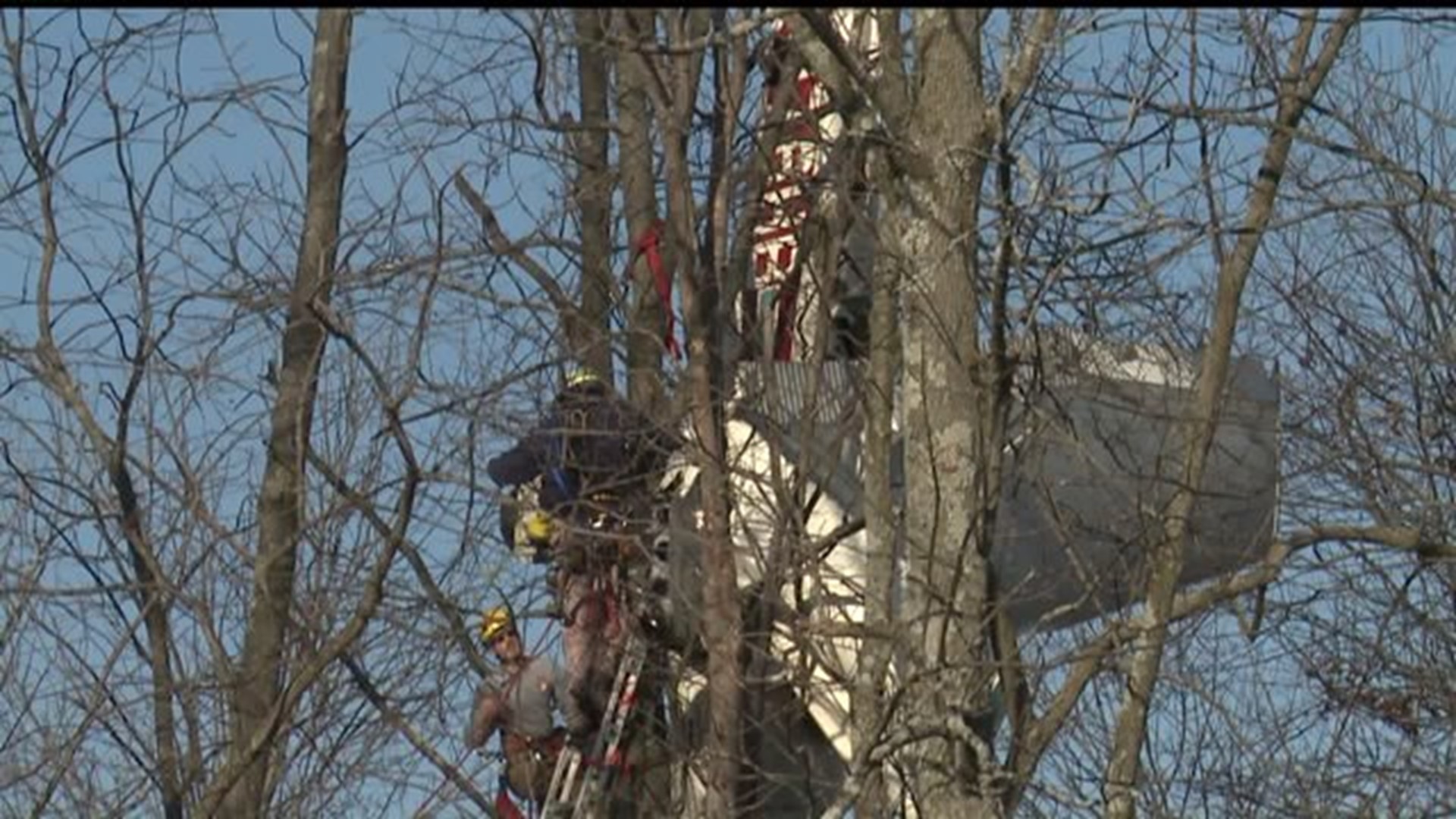 Pilot not hurt after crashing plane into trees in Adams County