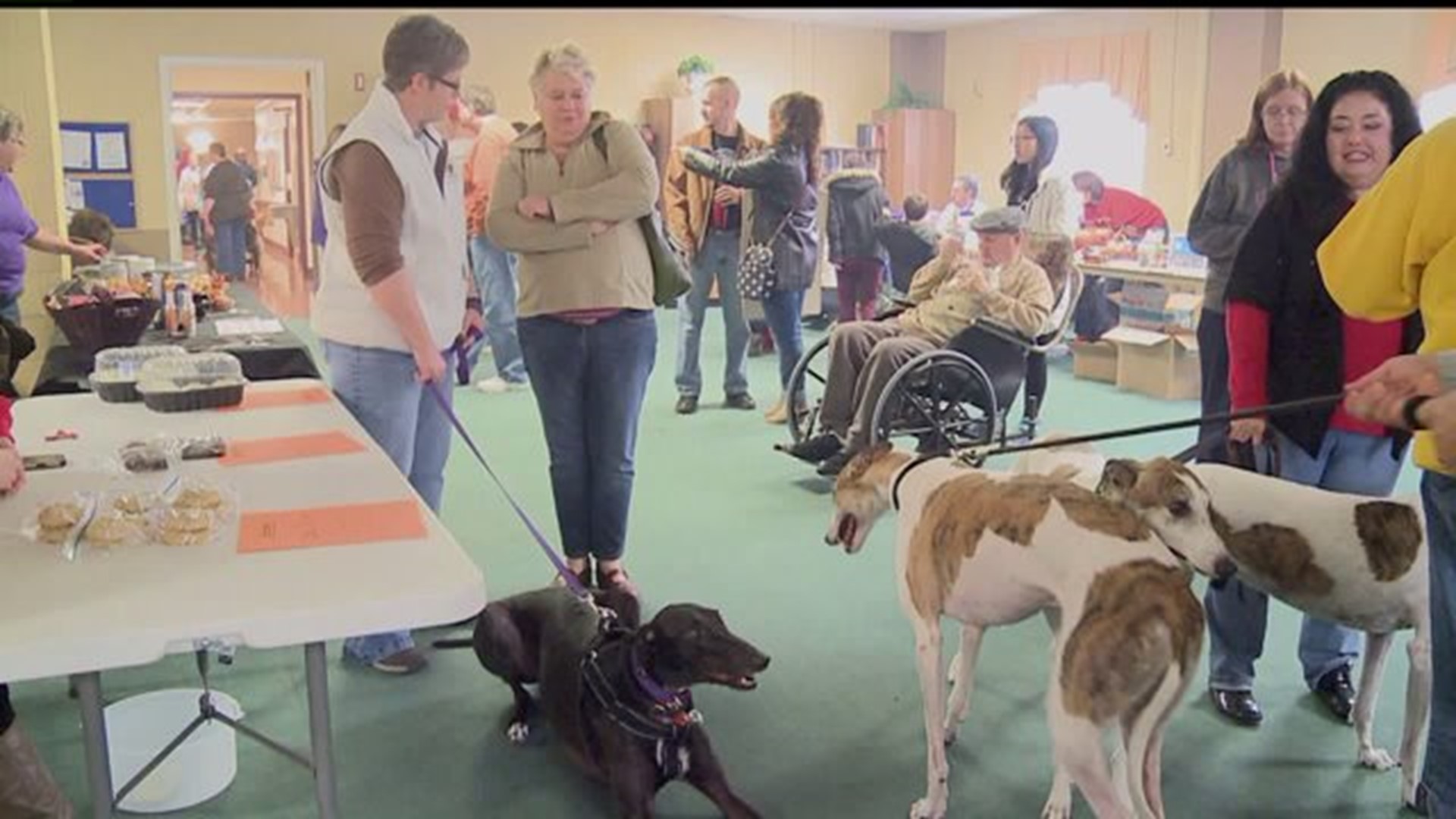 Carlisle rehab center helps dogs find a forever home