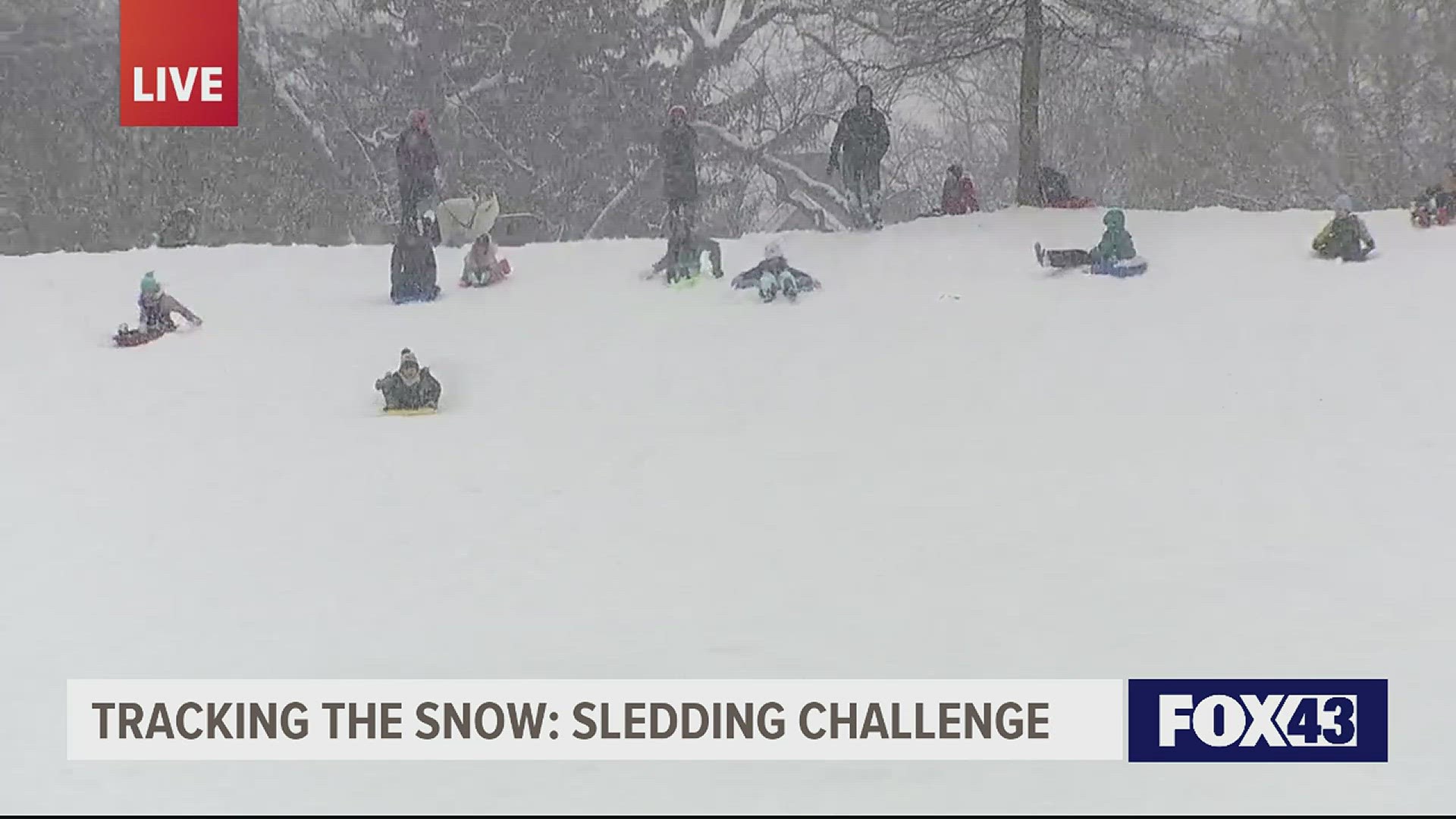 We held a sledding race on FOX43 Morning News!