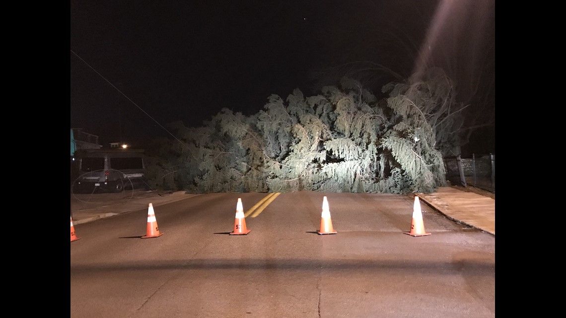 Downed Tree Causes Power Outage Road Closure In Shippensburg