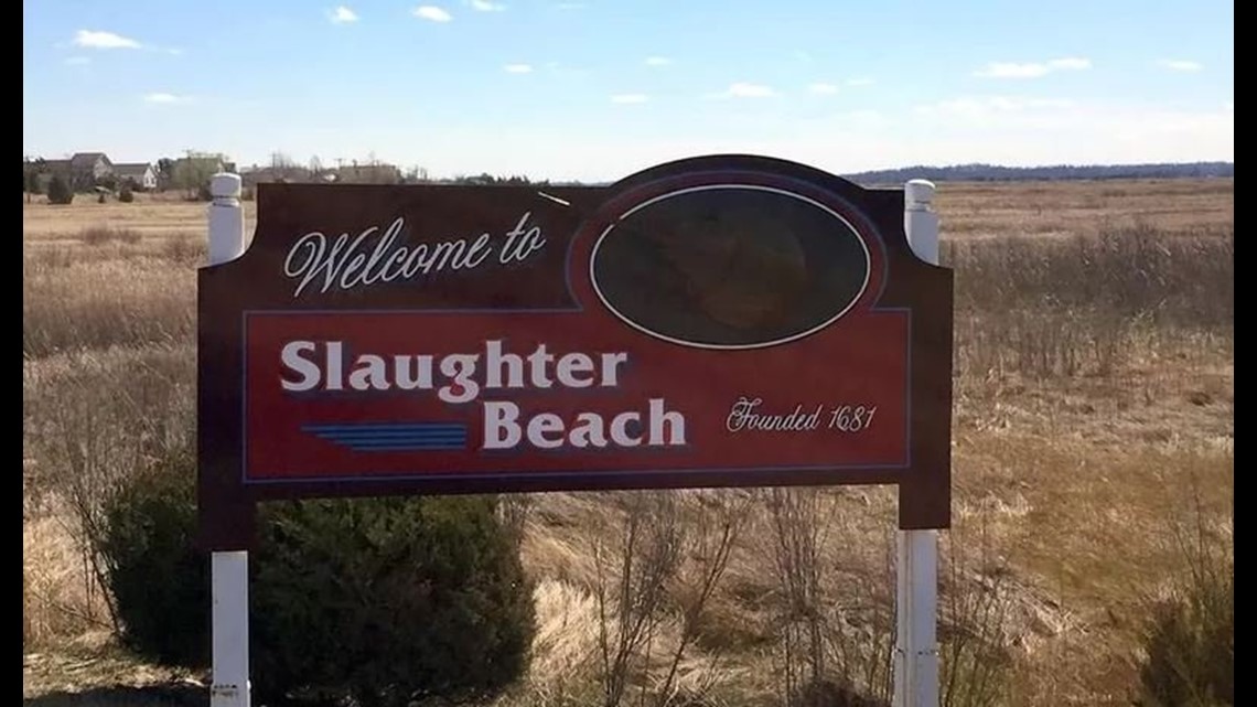 ‘Sanctuary Beach?’ PETA sends letter asking Slaughter Beach, Delaware