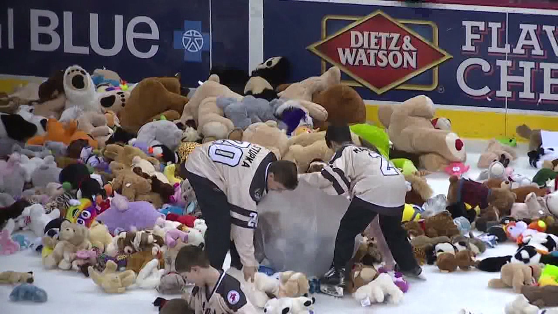 Here is the full video of the World Famous Hershey Bears Teddy Toss in 2023.